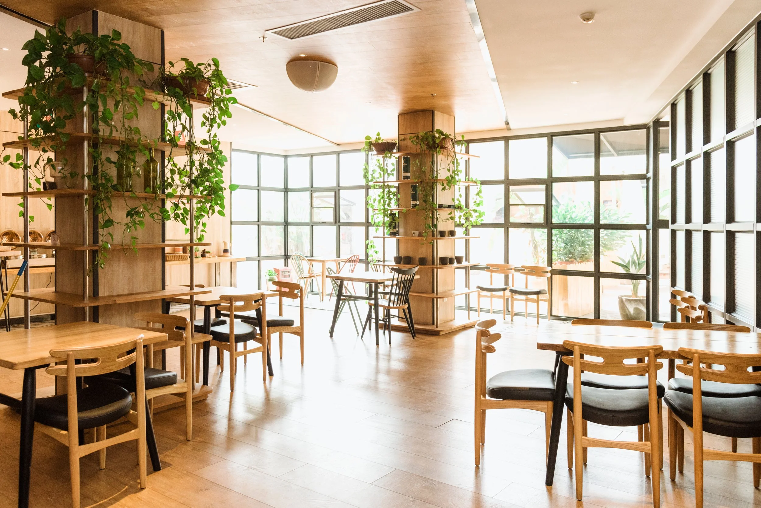 Bright, modern café with wooden tables and chairs, large windows, and potted plants on shelves.