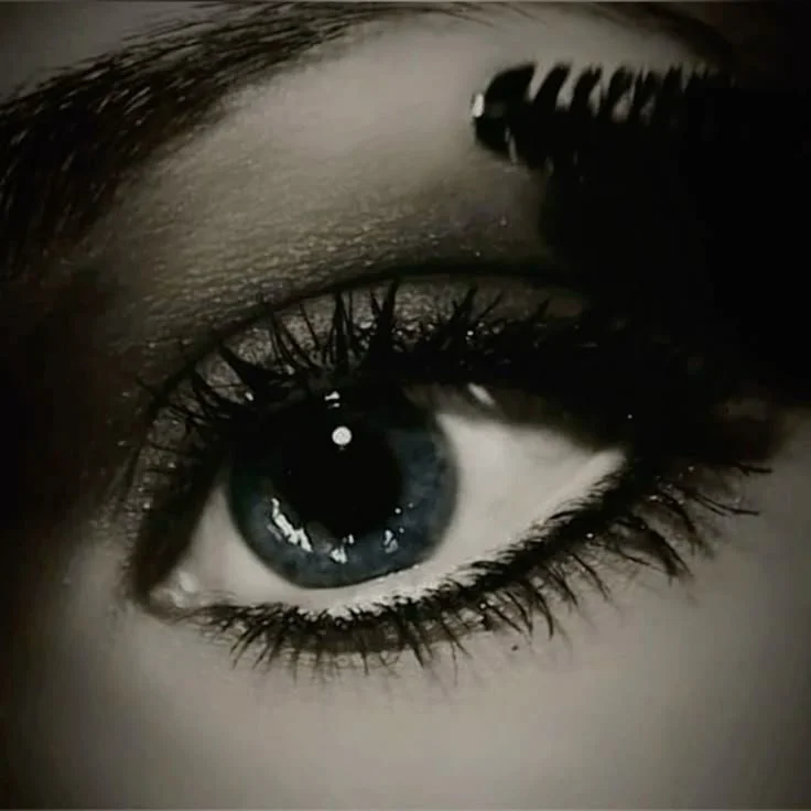 pll aestheti.jpg