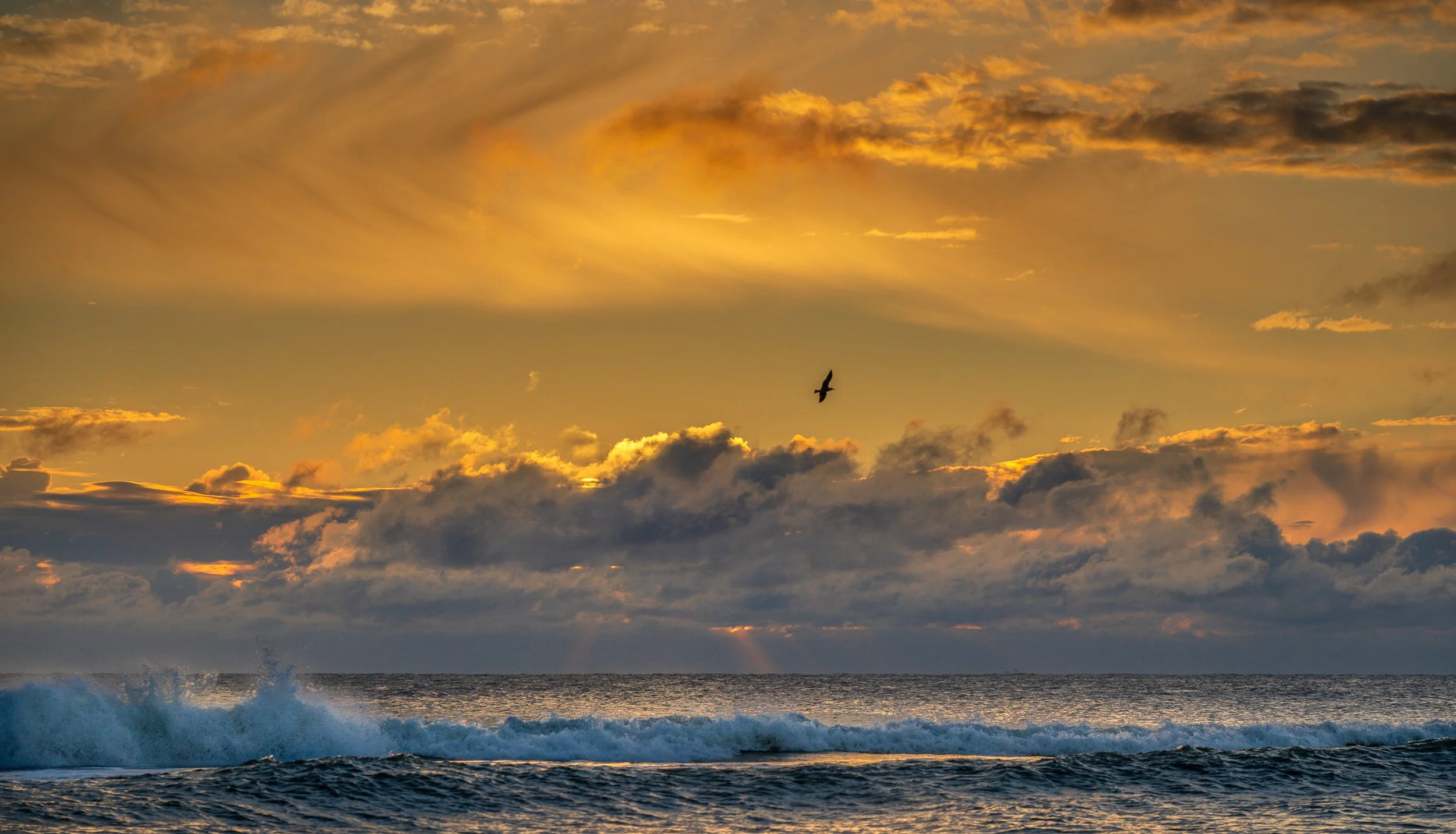 carolina seascape-2.jpg