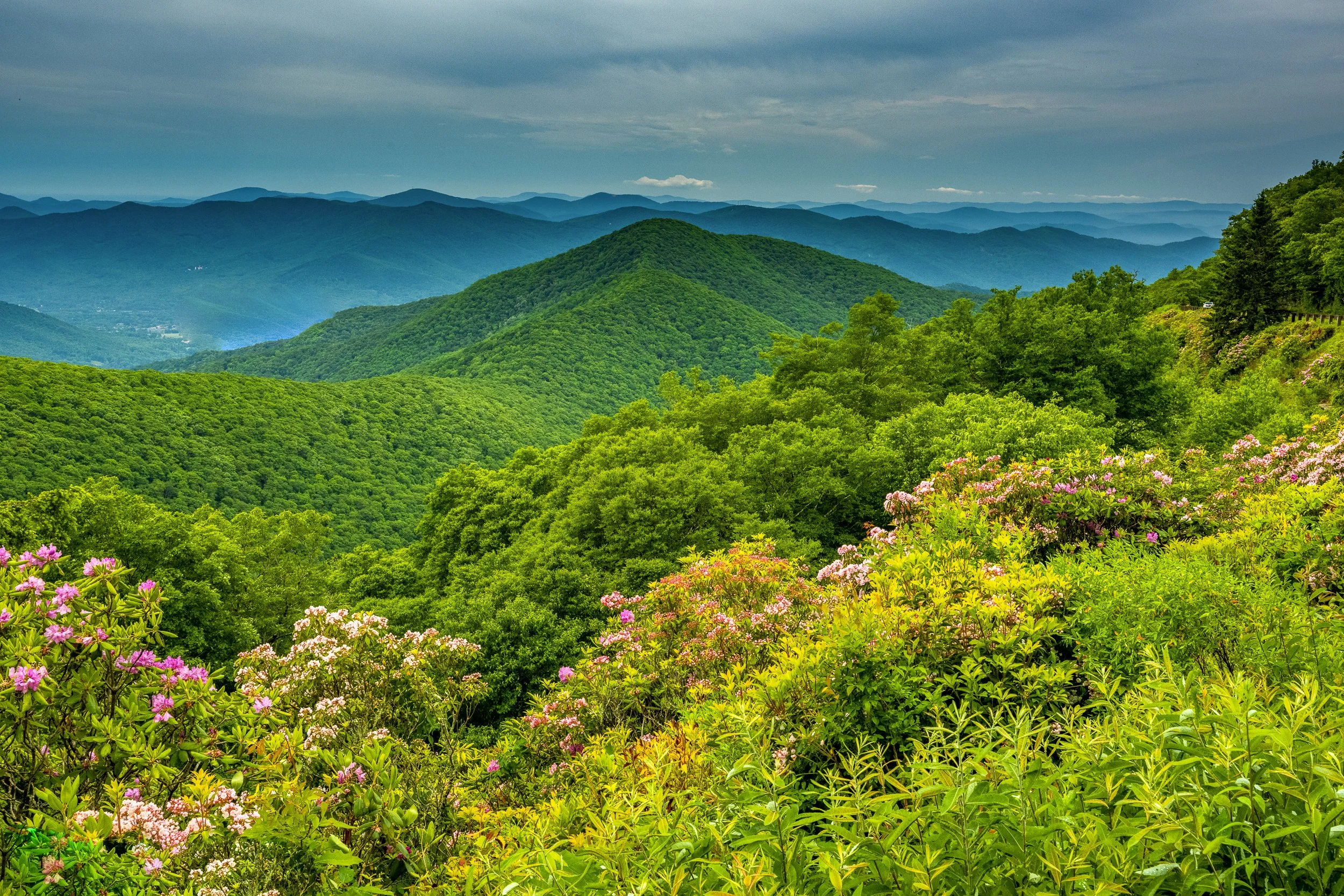appalachians-3.jpg