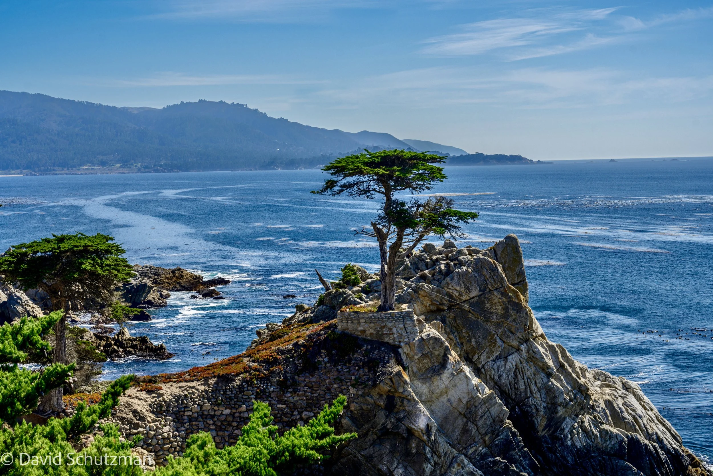 the lone cypress-76238.jpg