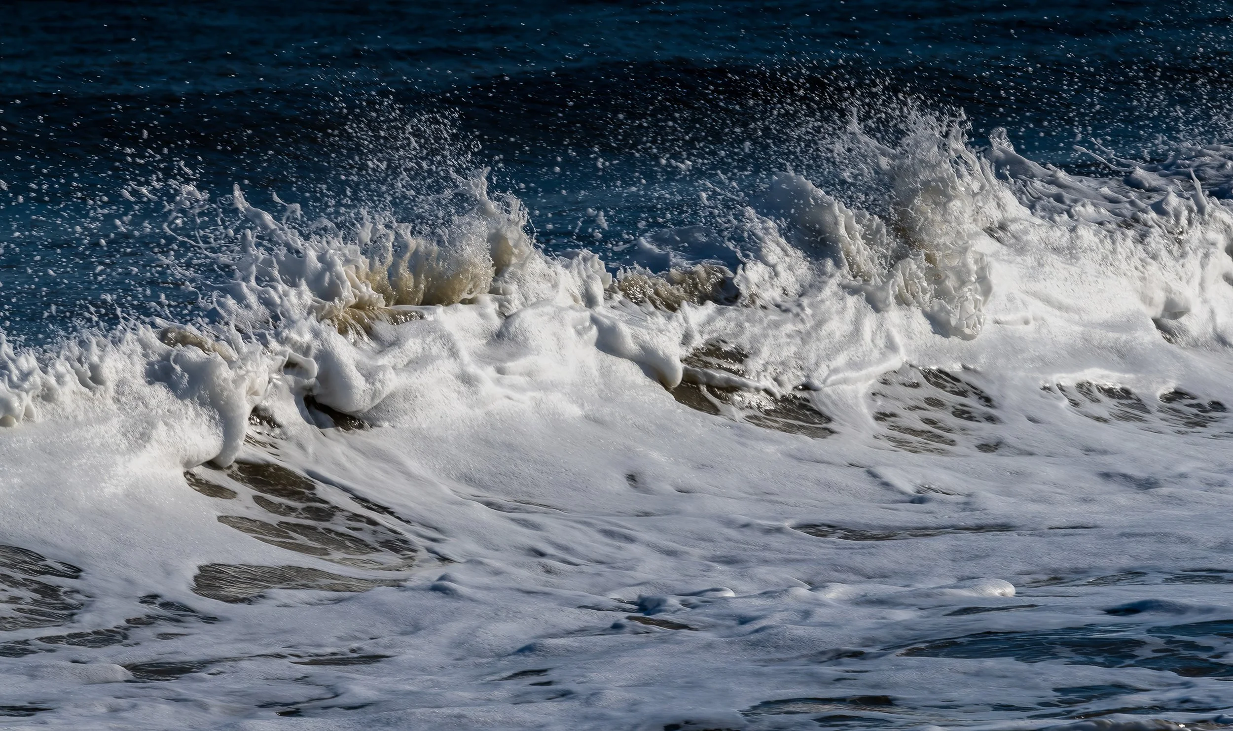 edisto beach low res.jpg