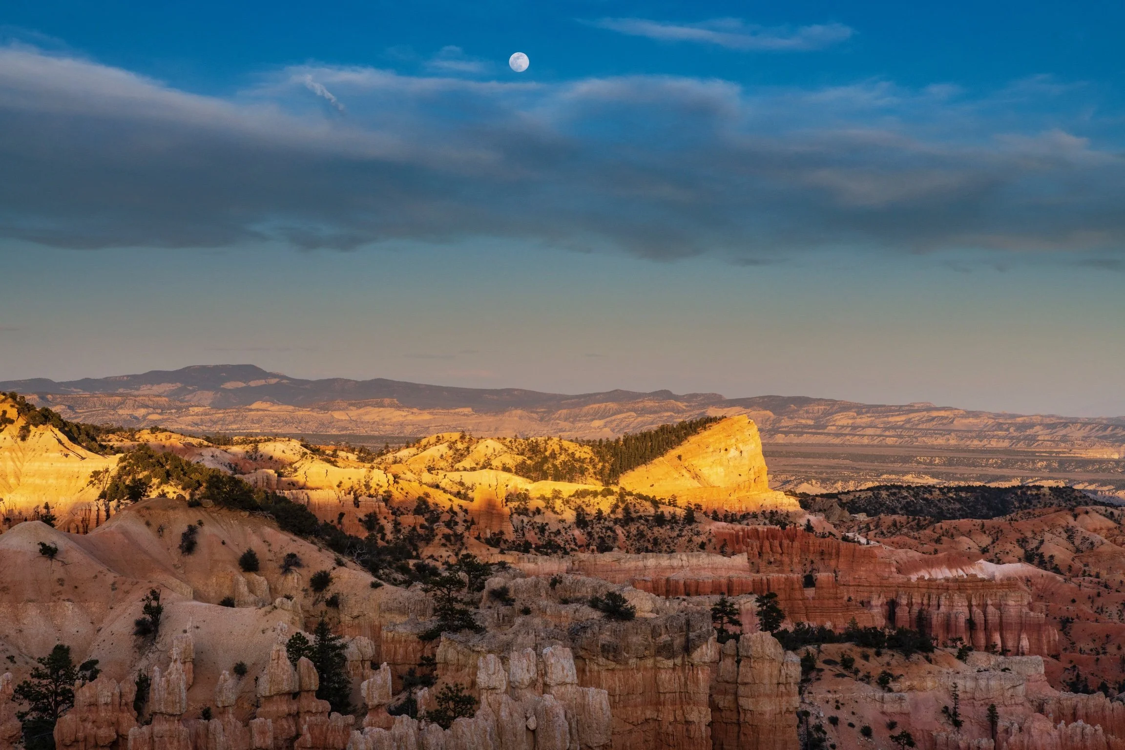 bryce canyon-8503049.jpg