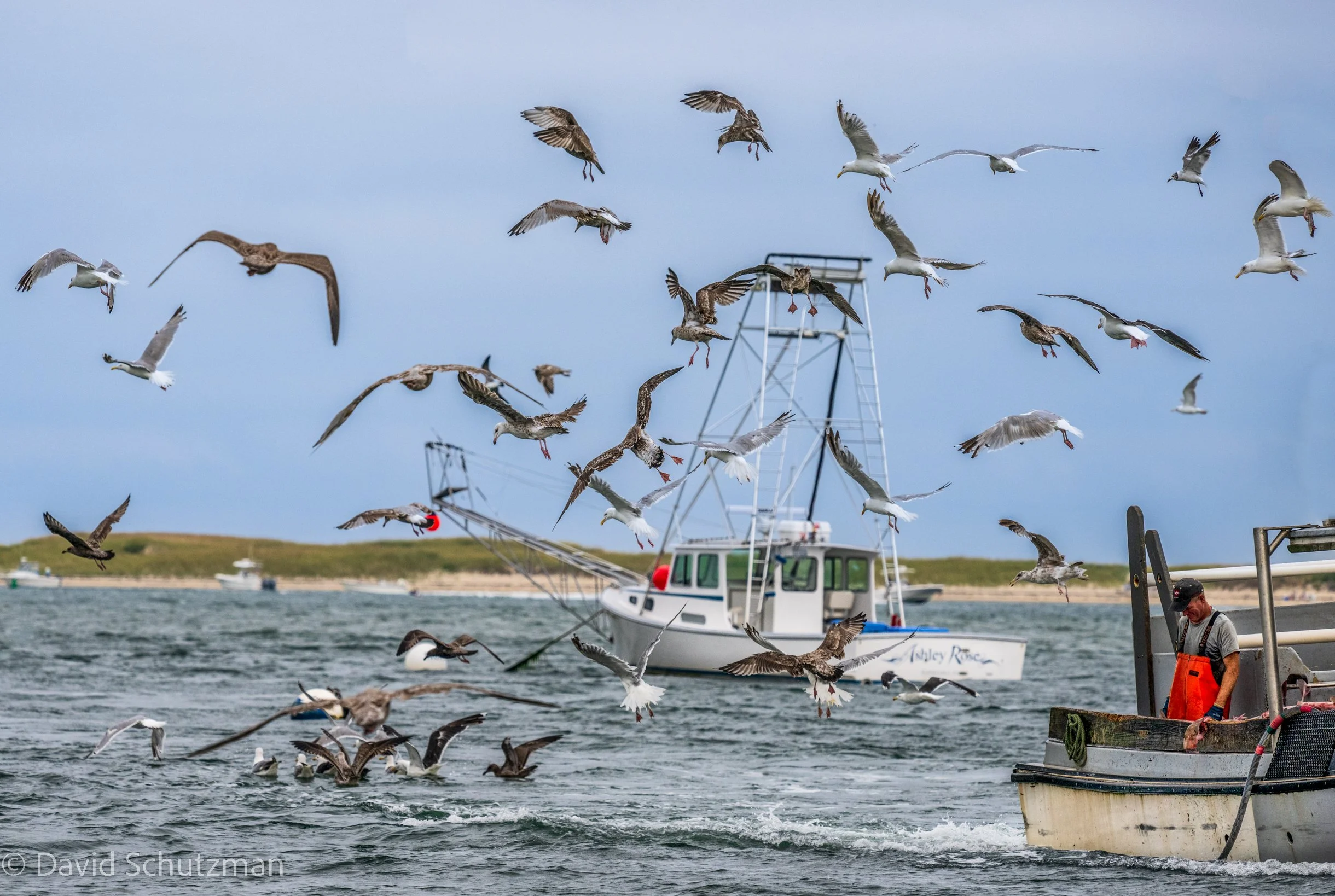 cape cod august 27 22-90887.jpg