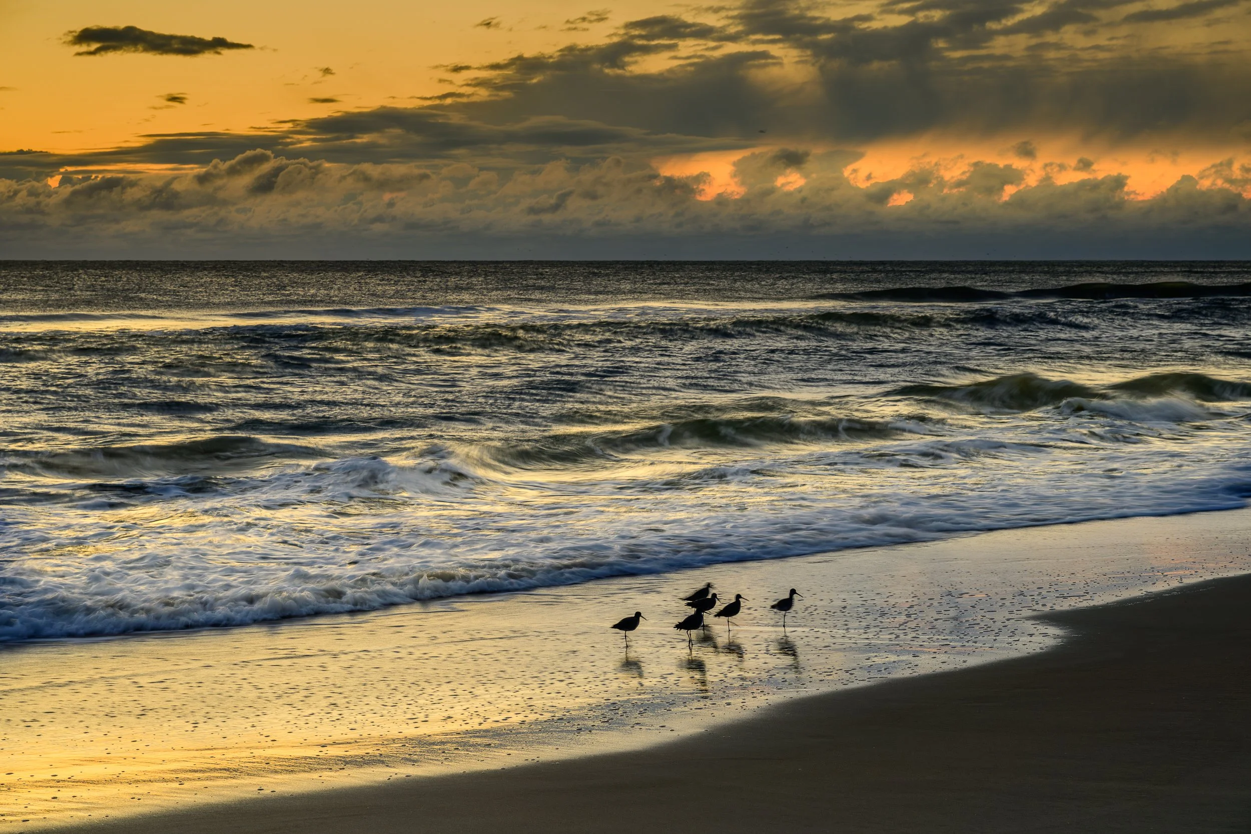 carolina seascape.jpg