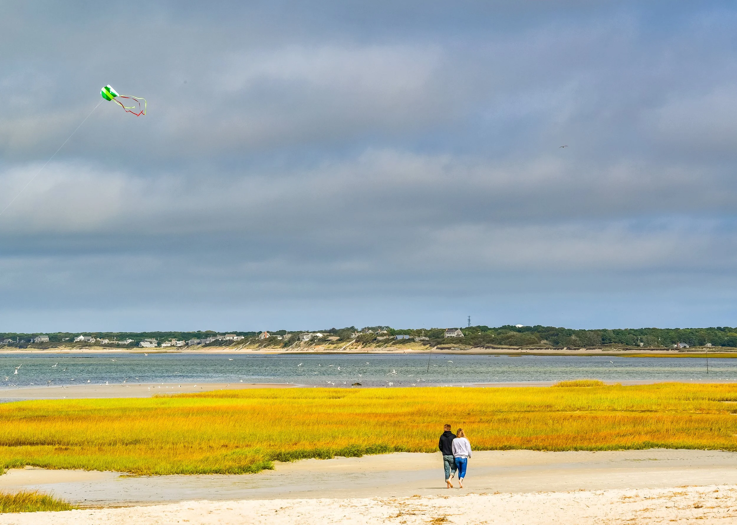 cape cod beach.jpg