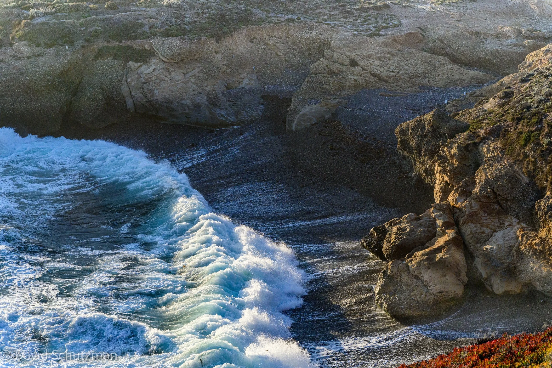 point lobos-76884.jpg