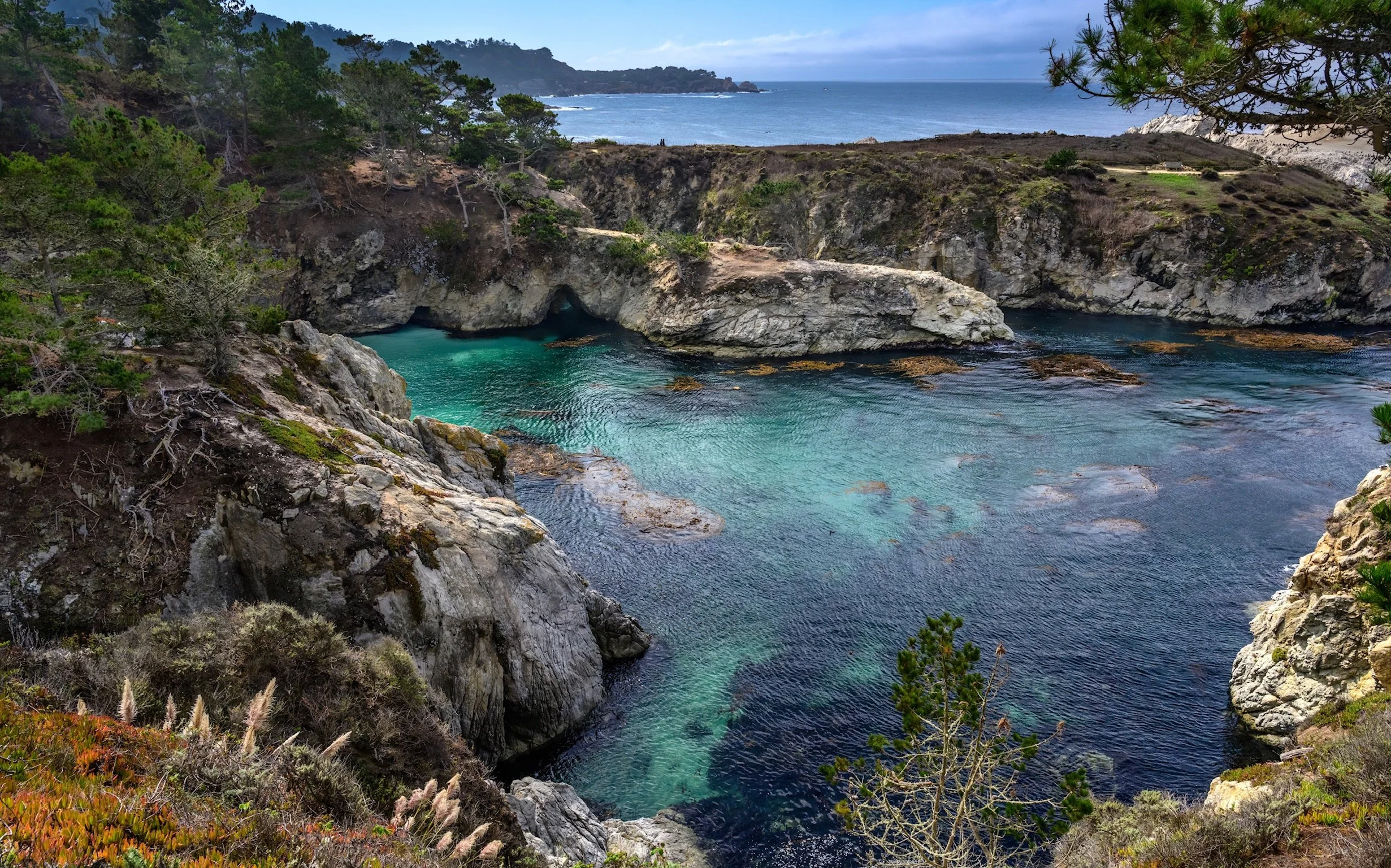 point lobos china cove-2 2.jpg