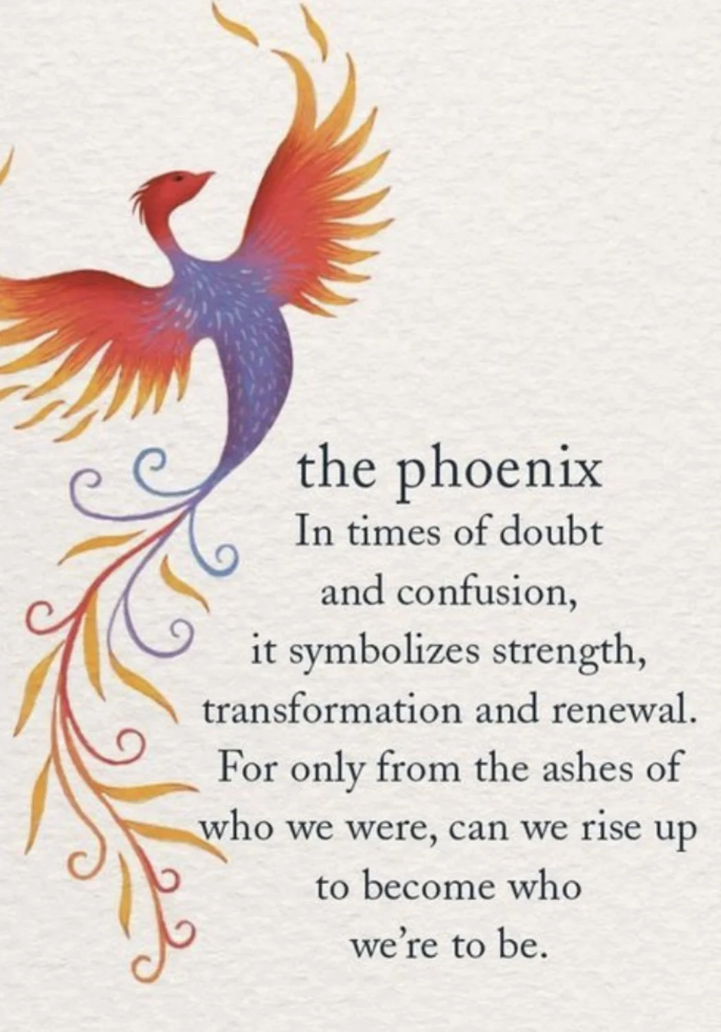 PHOENIX RISE BORN AGAIN MINISTRIES