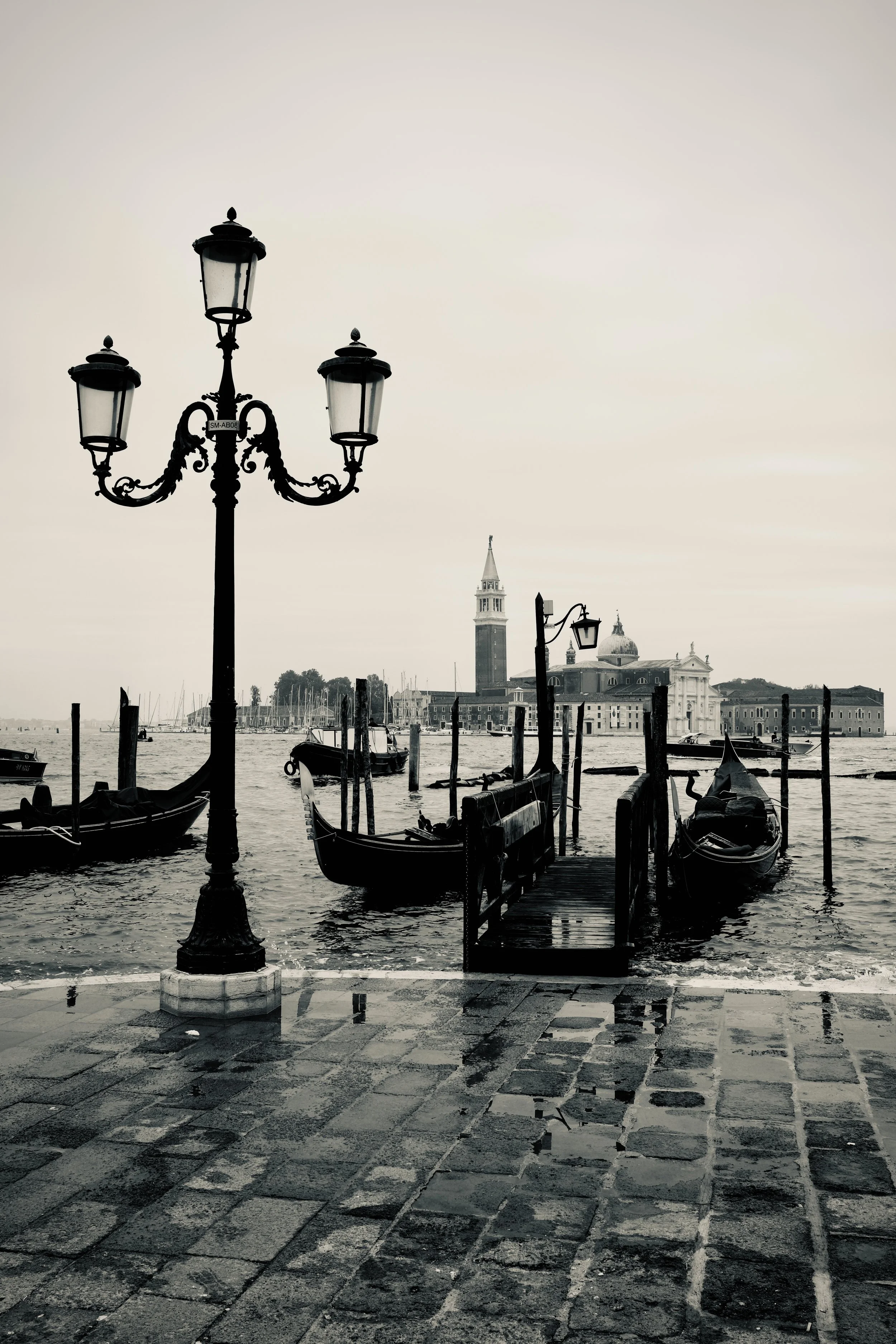 untitled-1676-2.jpg