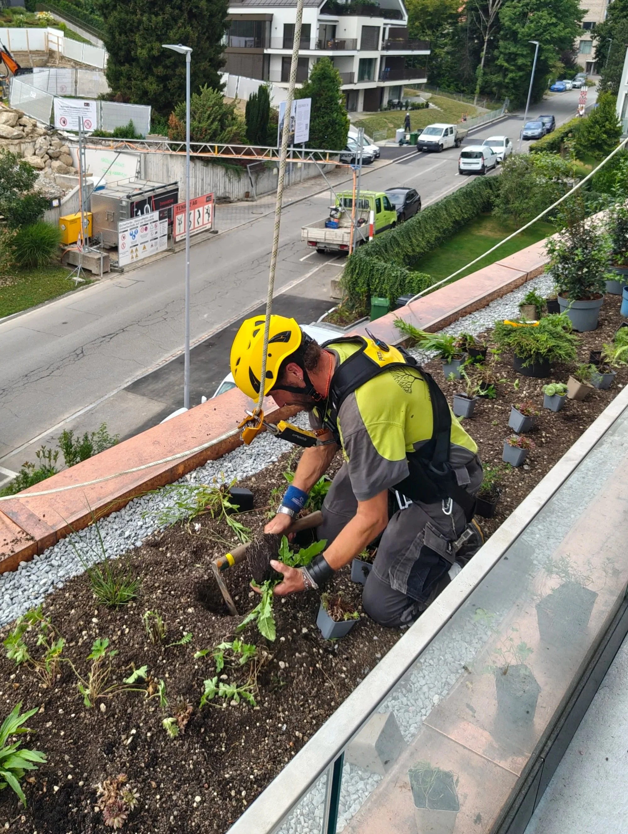 Gärtner, durch Seile gesichert, pflanzt Pflanzen in einem Blumenkasten auf einem Balkon ohne Geländer.