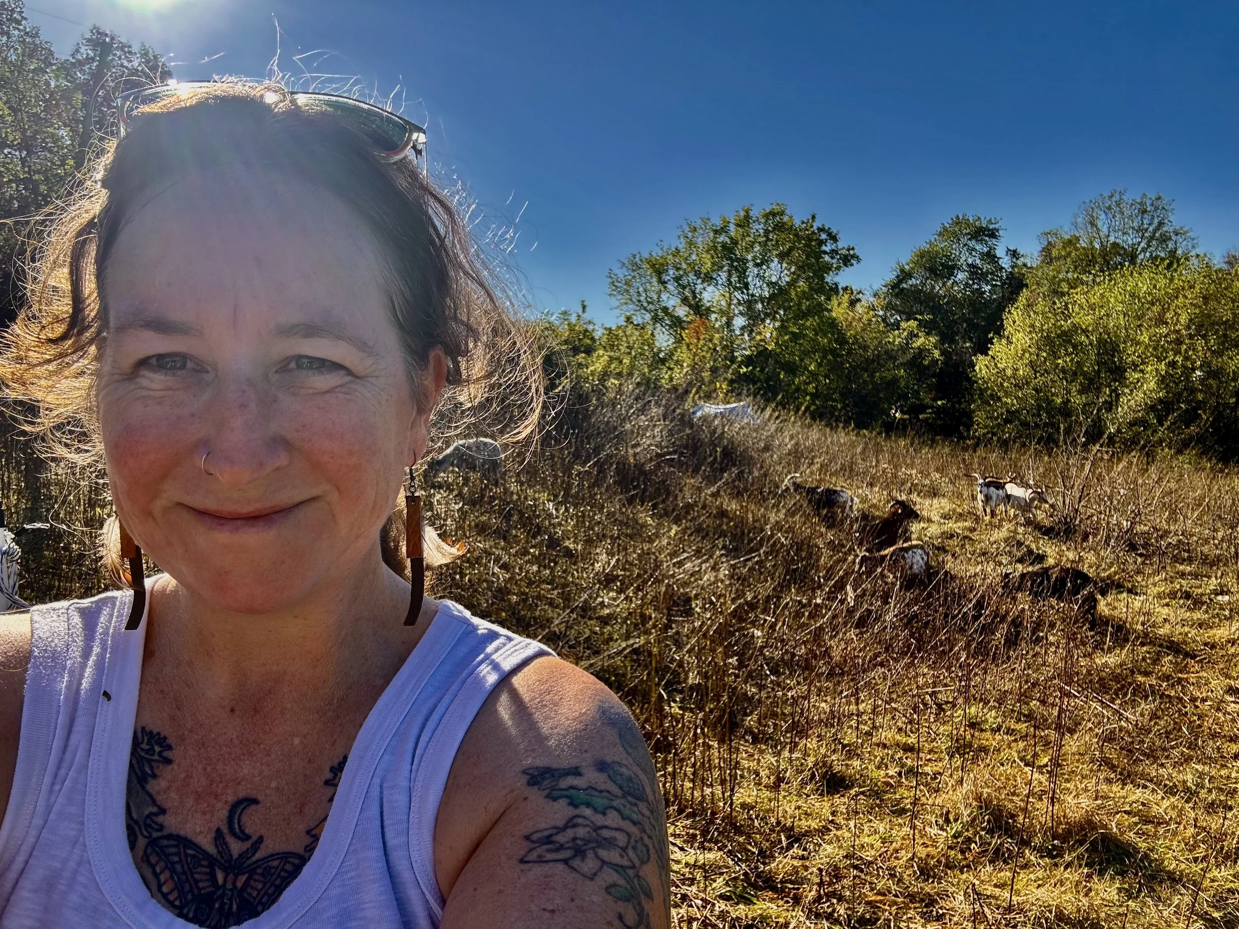A woman with tattoos on her arm and a nose ring taking a selfie outdoors on a sunny day, with a field and goats in the background and trees under a clear blue sky.