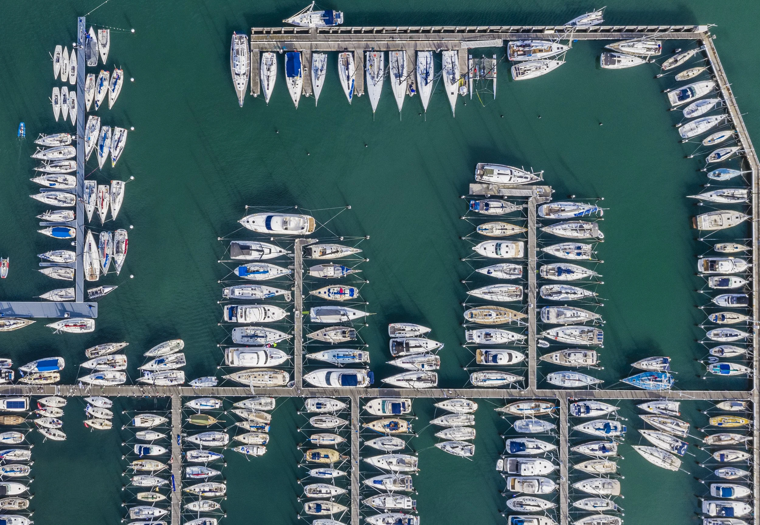 Festival+of+Sails+©+Salty+Dingo+2020+CG-0397.jpg