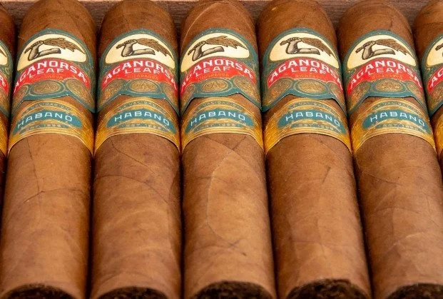 Five cigars with bands displaying the Ashton logo and labels reading 'HABANO' and 'NUCLEO.'