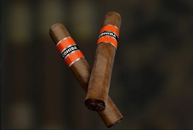 Two cigars with orange and black bands labeled 'COHIBA' against a dark blurred background.