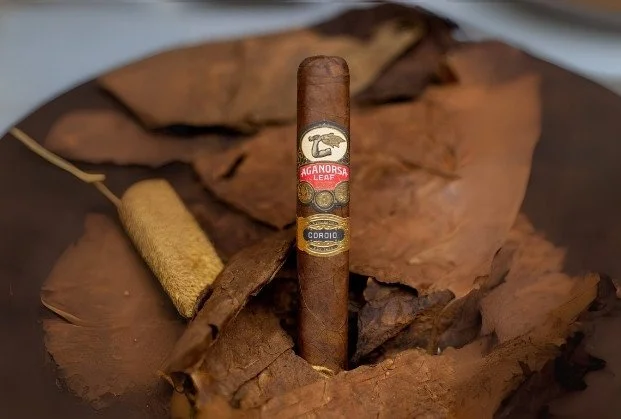A cigar with a red, gold, and blue band resting on dry leaves, with a small rolled leaf wrapper nearby.