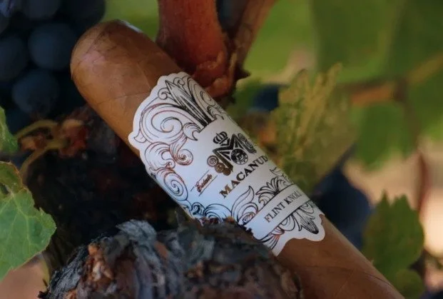 Macanudo-Cigars-2.jpg