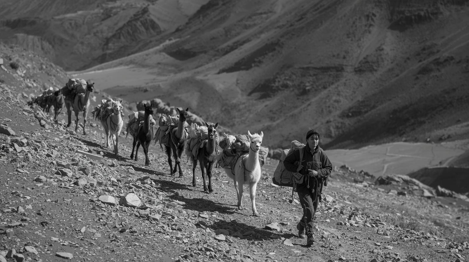 The Kind of Leadership This Moment Requires