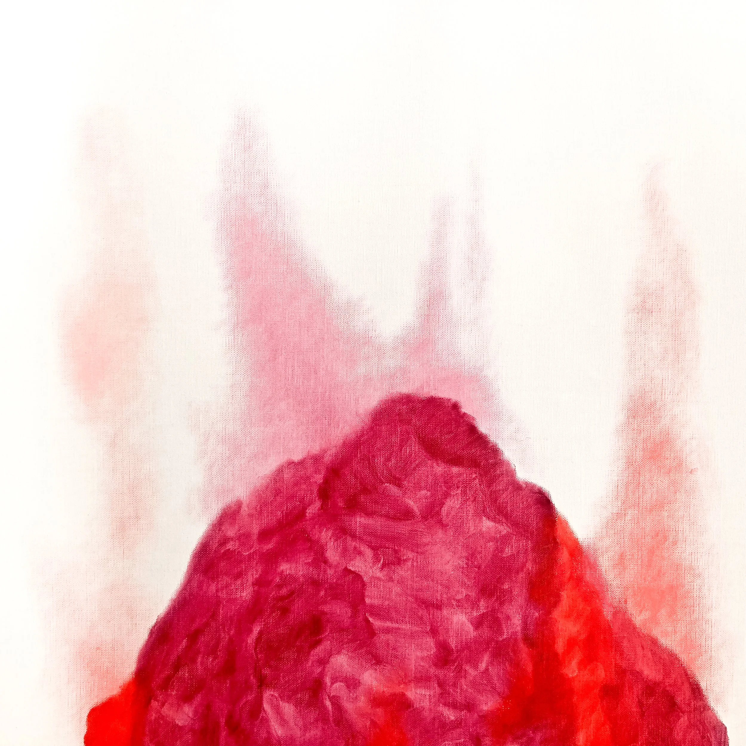 Un polipo rosso con sfondo bianco