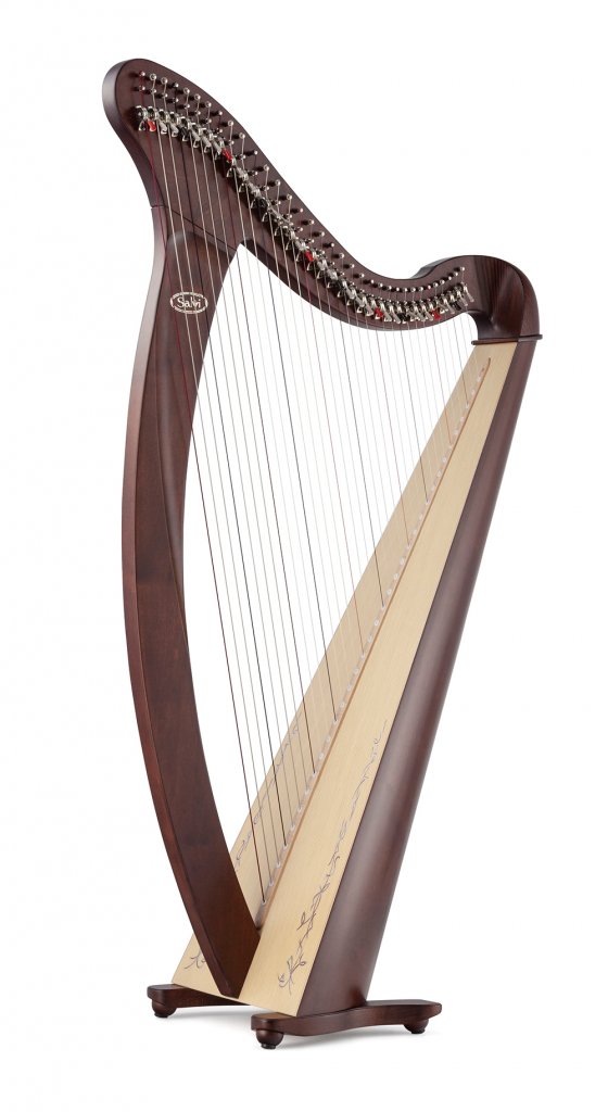 Donegal-noce-560x1024.jpg