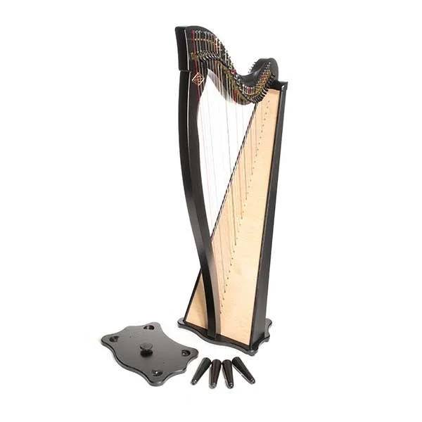 Dusty-Strings-Harp---Boulevard-side.jpg