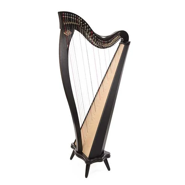 Dusty-Strings-Harp---Boulevard-front.jpg