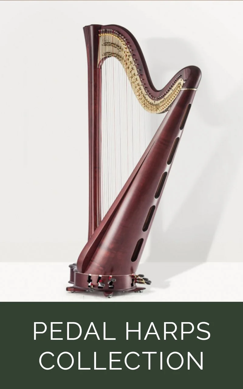 Salvi Pedal Harp Sale