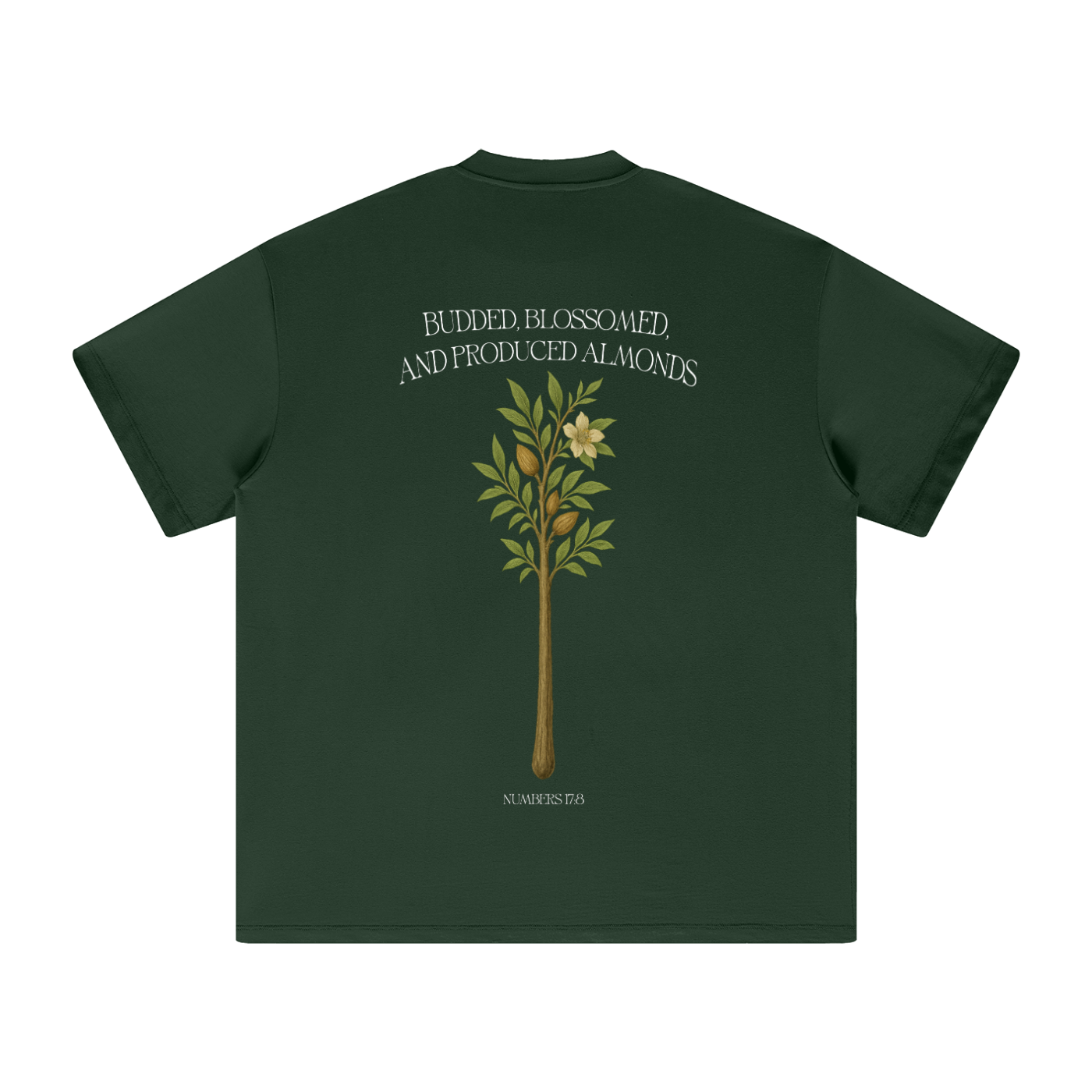 Numbers 17:8 Blackish Green