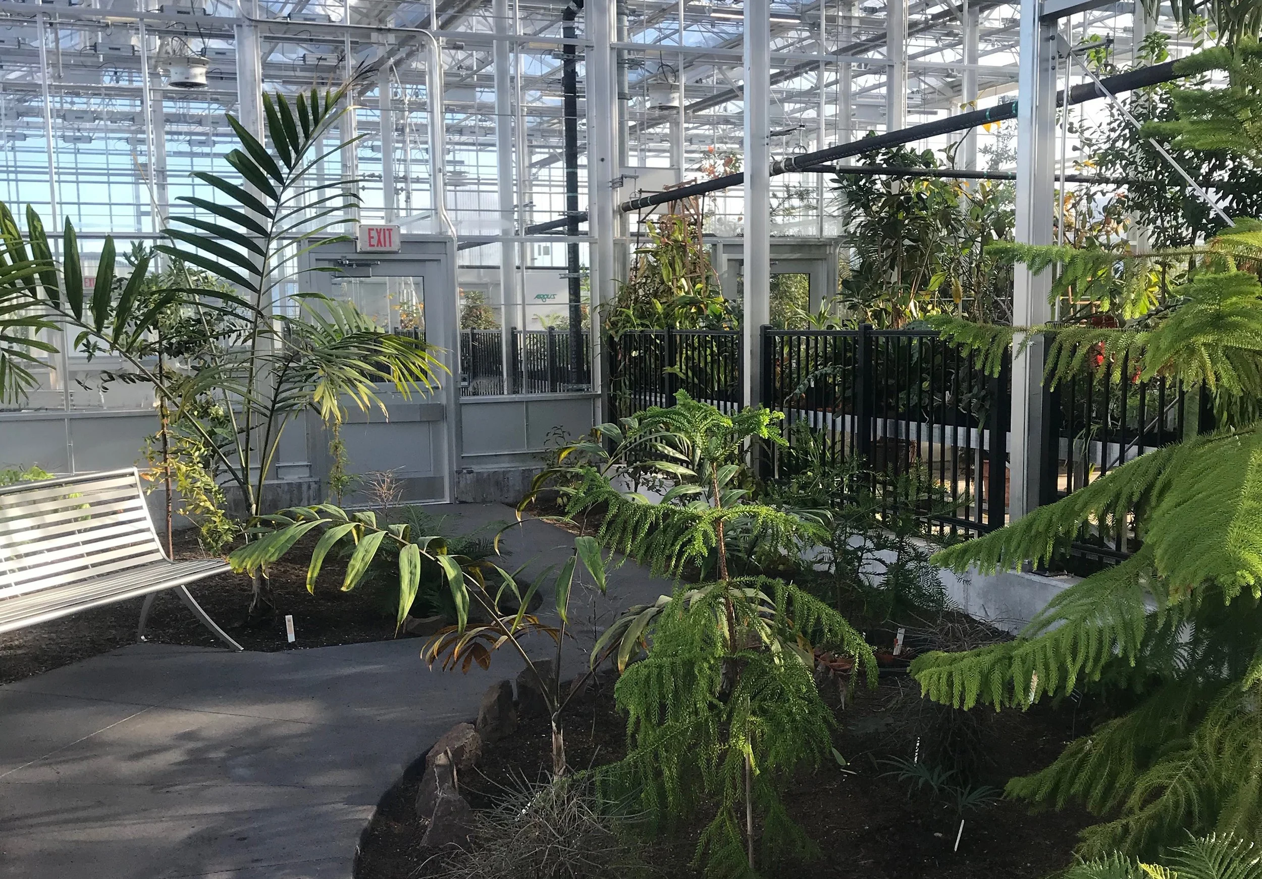 Plant growth 3_crop.hires.med.jpg