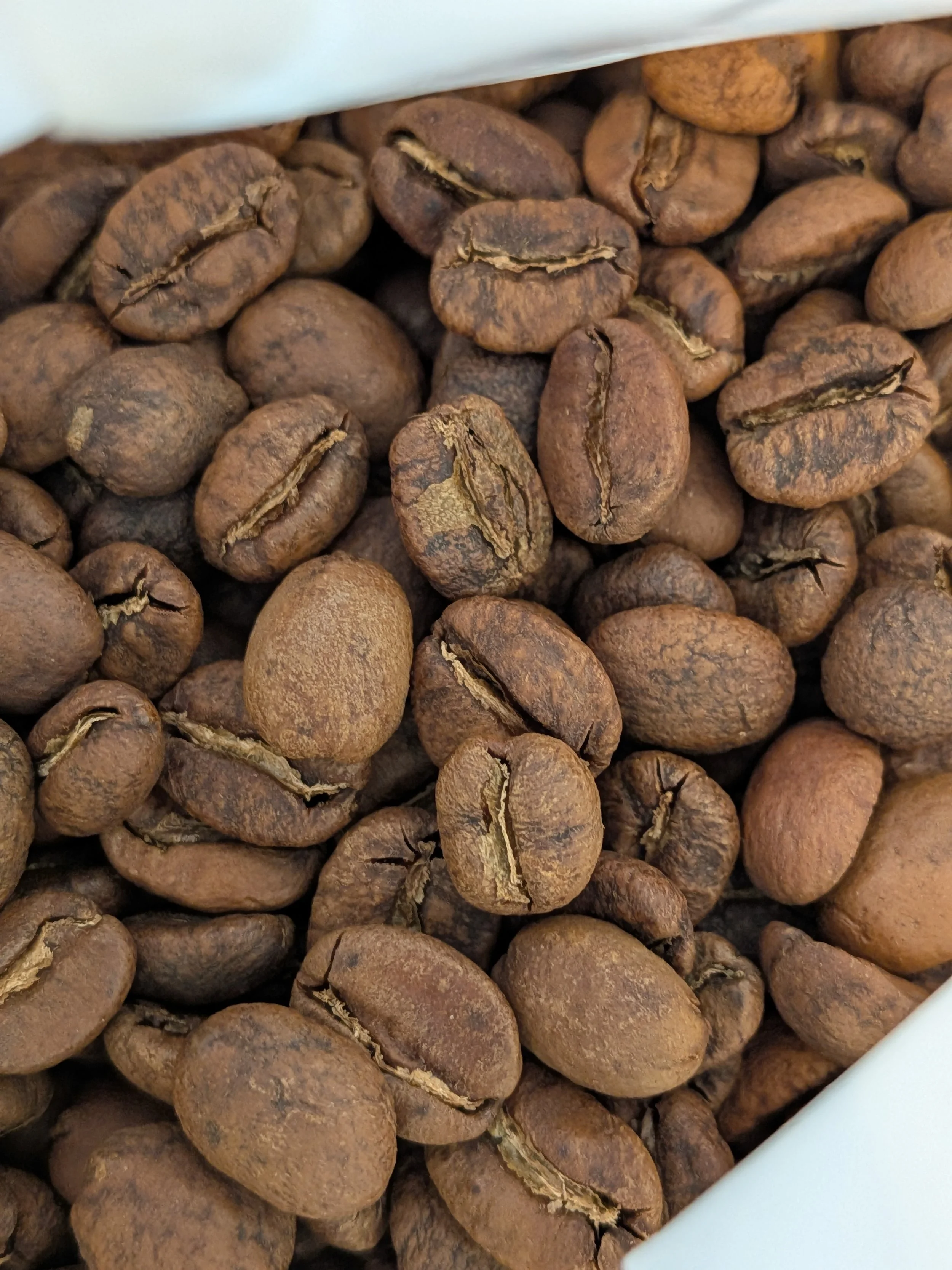 The Sensory Workshop