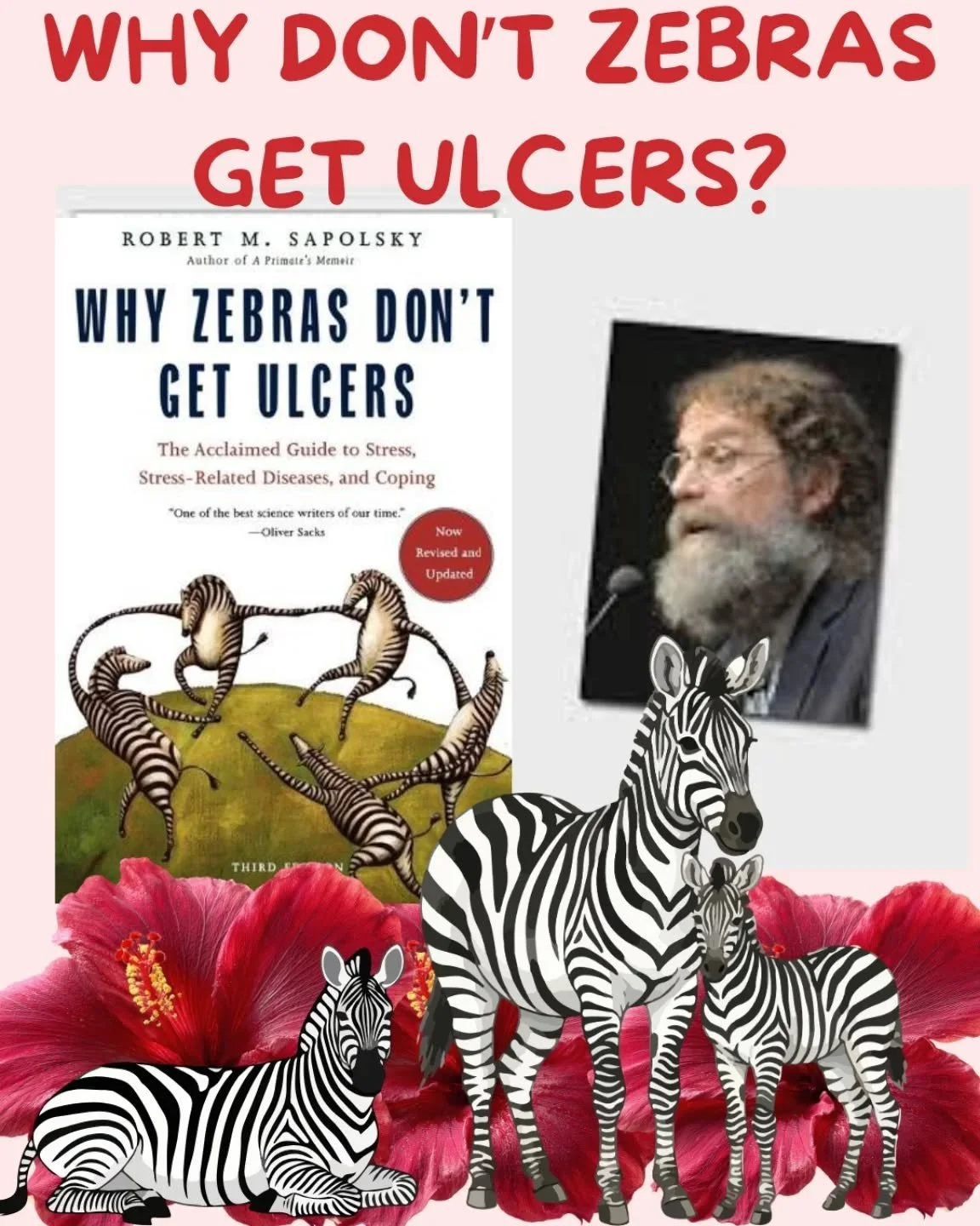 Book rec for Mental Health Month: Why Zebras Don&rsquo;t Get Ulcers by Robert Sapolsky

At NeuroBloom, we love the classic therapy books but as holistic practitioners, we want to know what stress is doing to your brain, gut, immune system, hormones, 