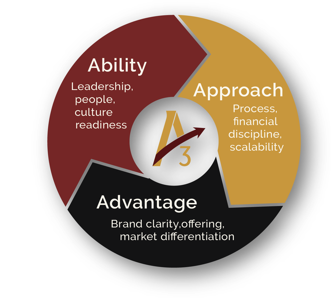 ACCENTUATE Strategy + Execution 3As Situational Diagnostic: A framework assessing Ability (People + Culture), Approach (Process + Scale), and Advantage (Market Differentiation)