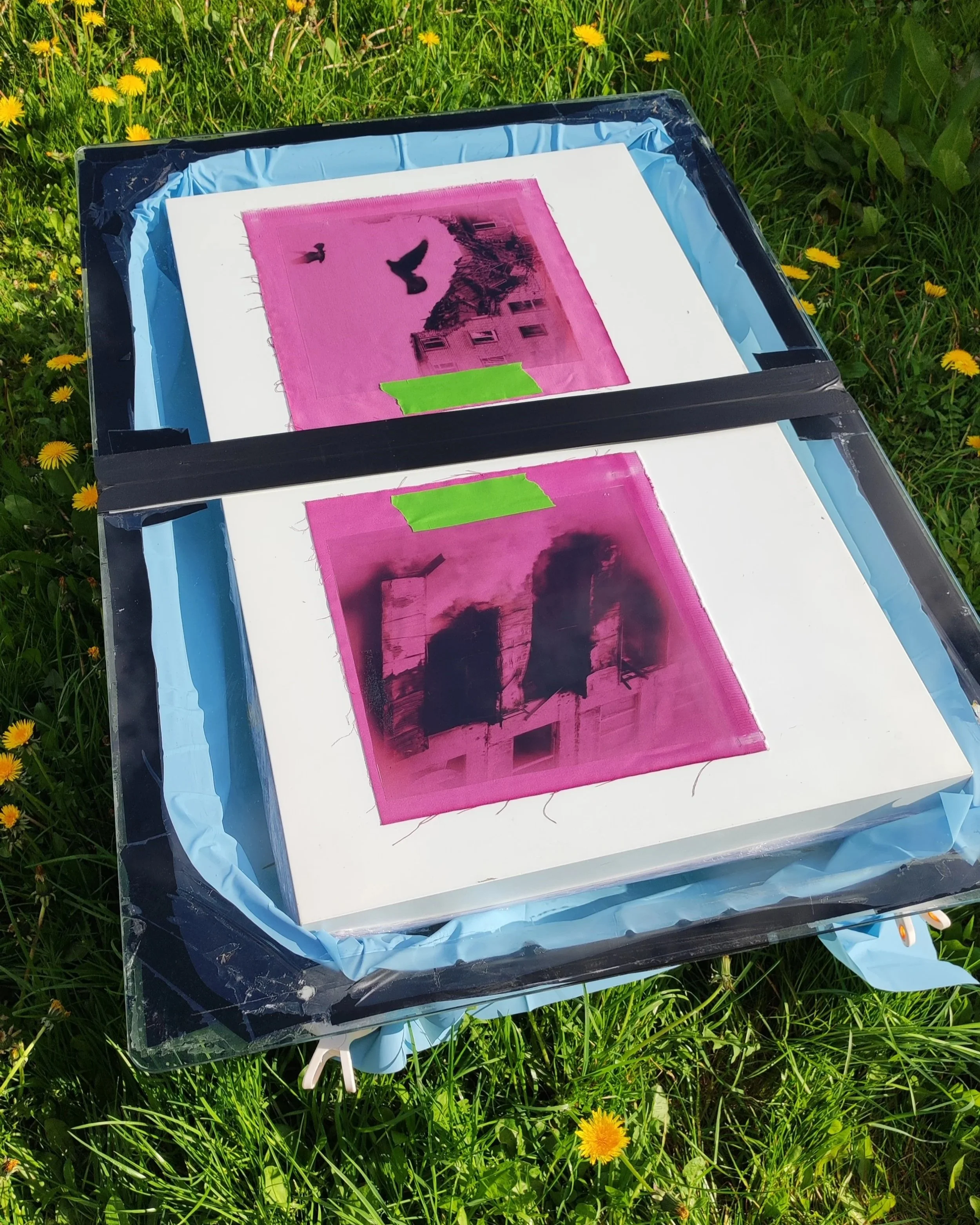 Exposure of the anthotypes
