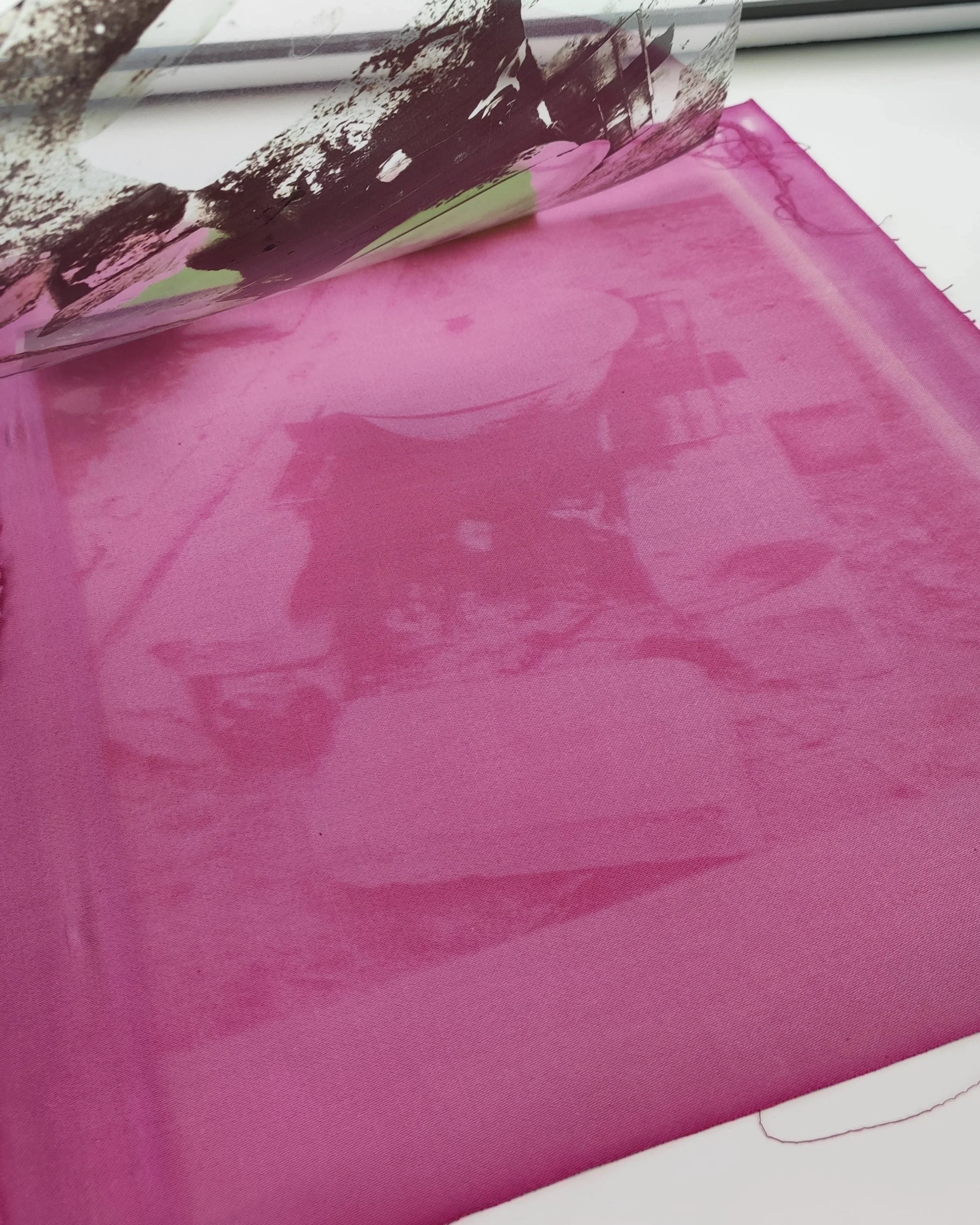 The first successful anthotype on fabric, 35x35 cm, 2026