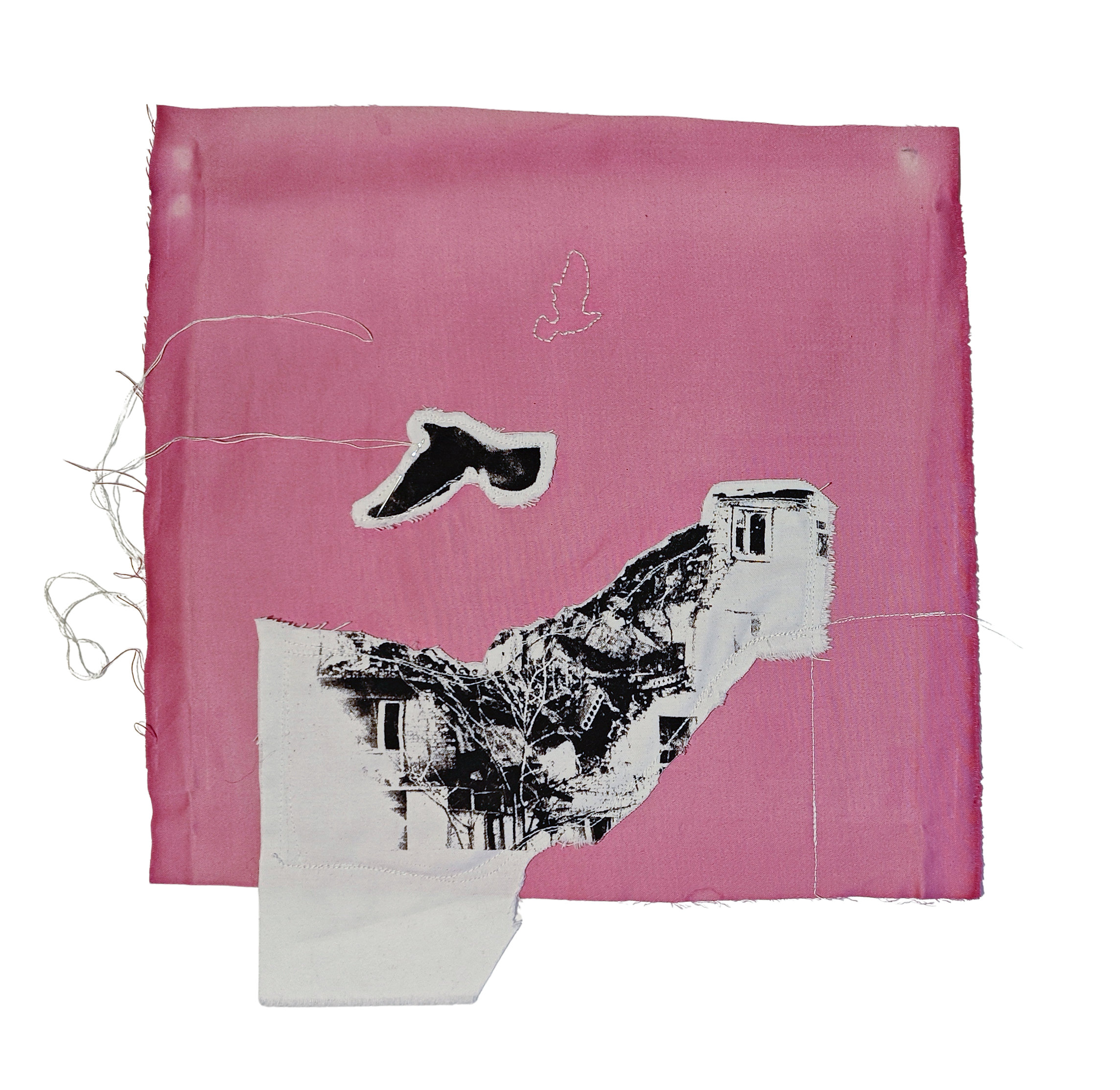Untitled, exploration of mixed media printmaking (anthotype and screen printing on fabric), 35x35 cm, 2025