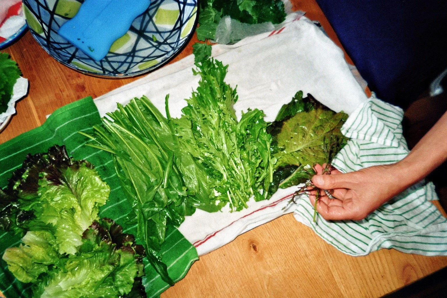 26VG_Ap_019_22A_SUJU.JPG