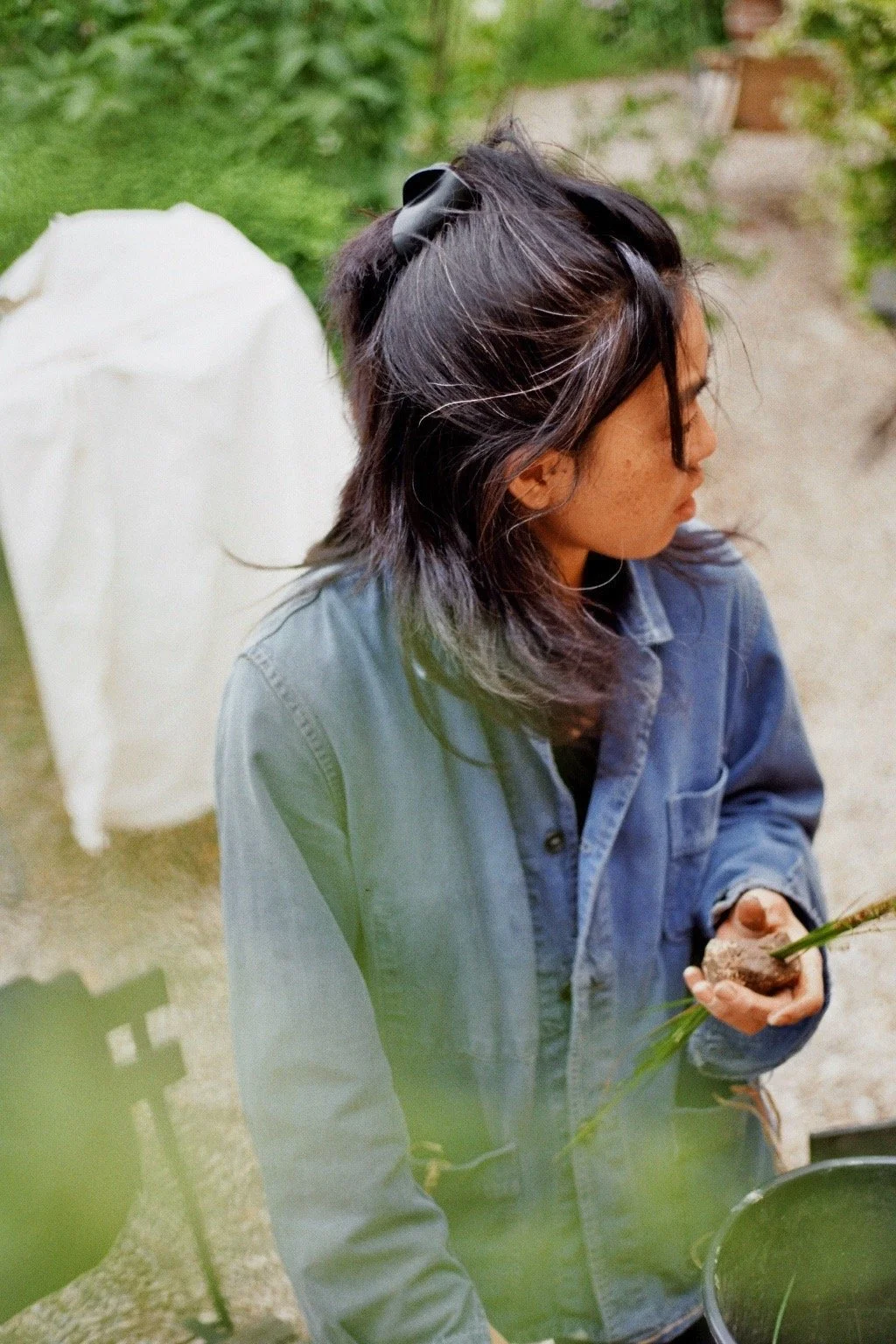 26VG_Ap_024_23A_SUJU.JPG