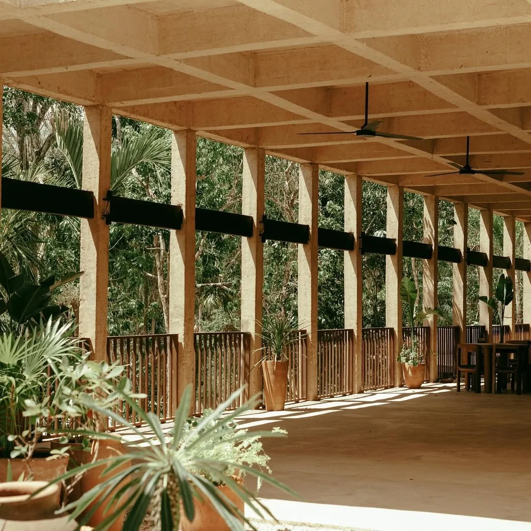 Experience the flavors of FLORA, where even the space is a celebration of Bacalar’s essence.Book your table now via Open Table.-#BocaDeAgua #HamakHotels #FLORA #Bacalar #DesignHotels #MexicanCaribbean #Sust (1).jpg