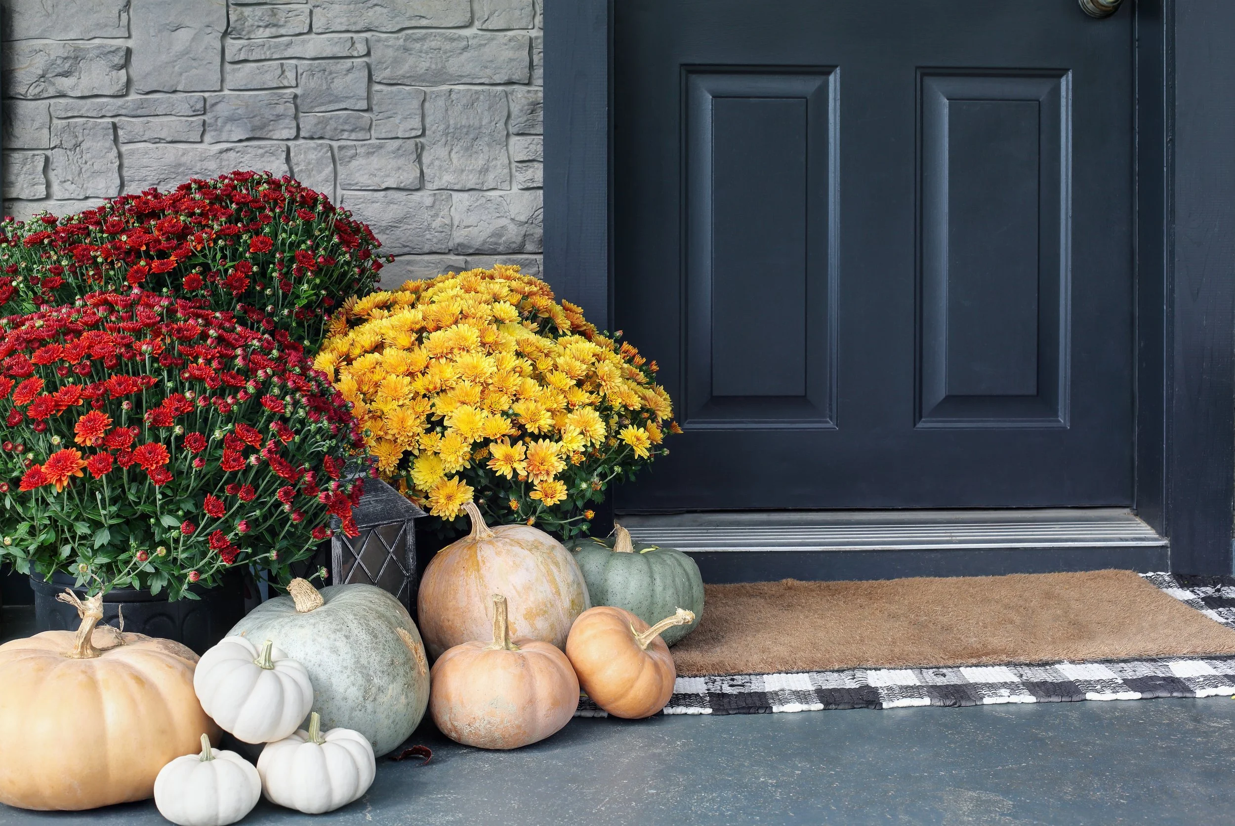 iStock-1331076757.jpg