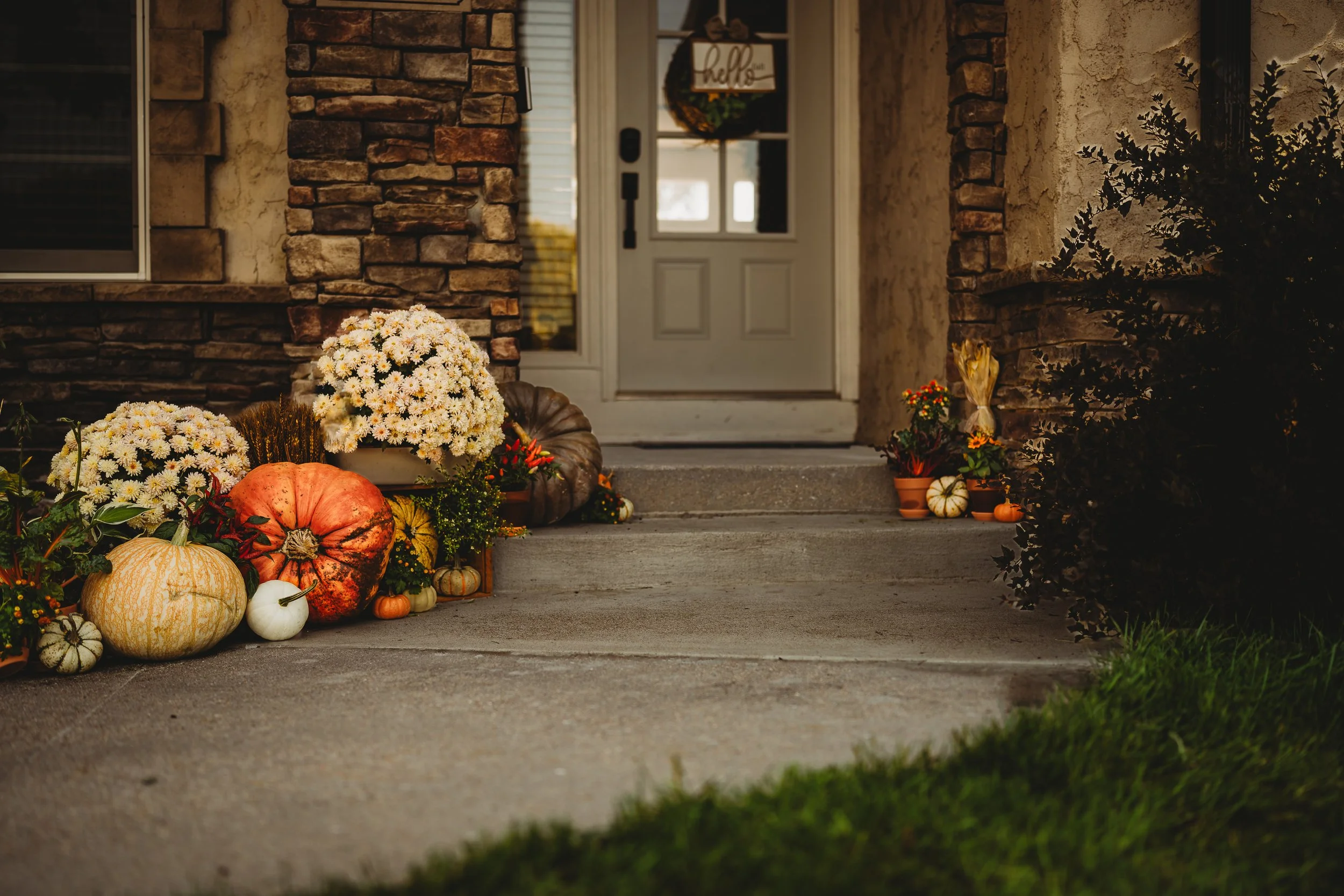 The Petite Porch Collection- Fall Edition