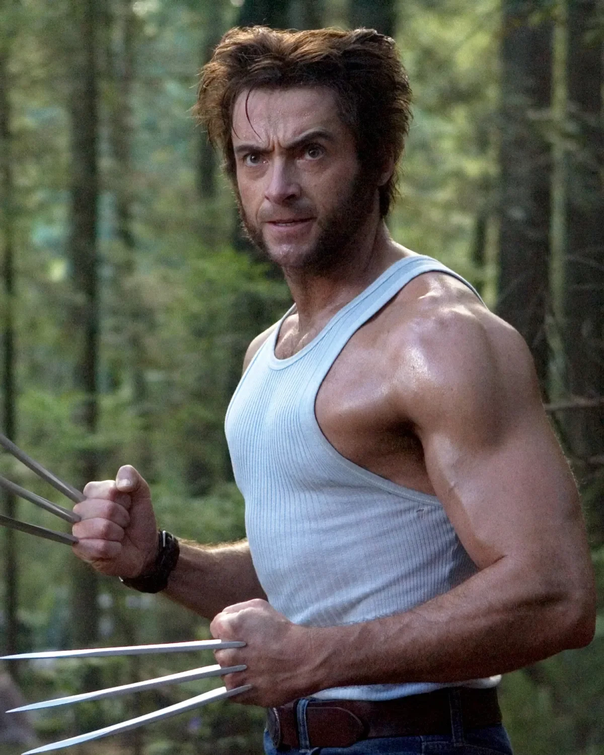 Wolverine.webp