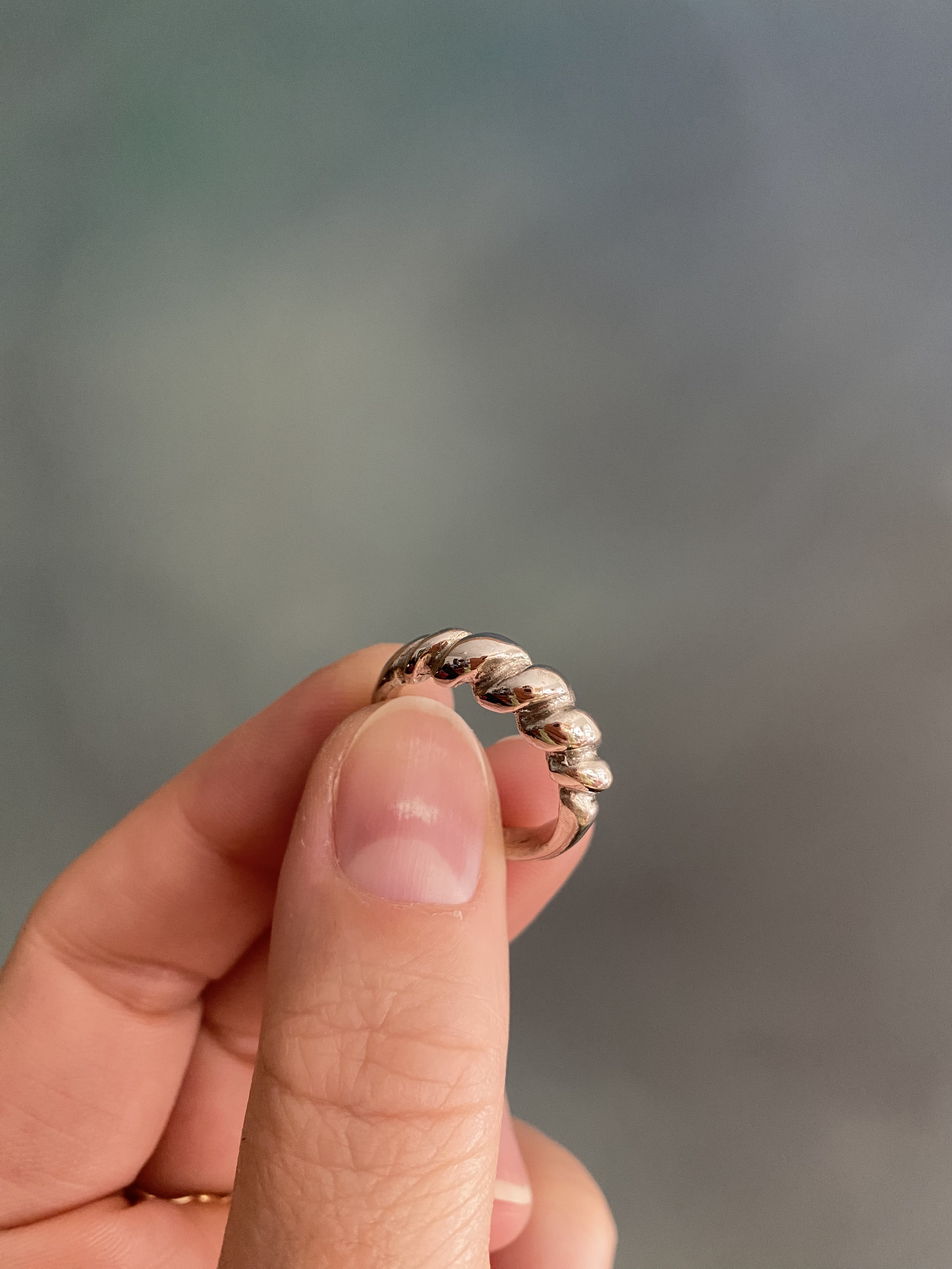 The Buccatini Ring