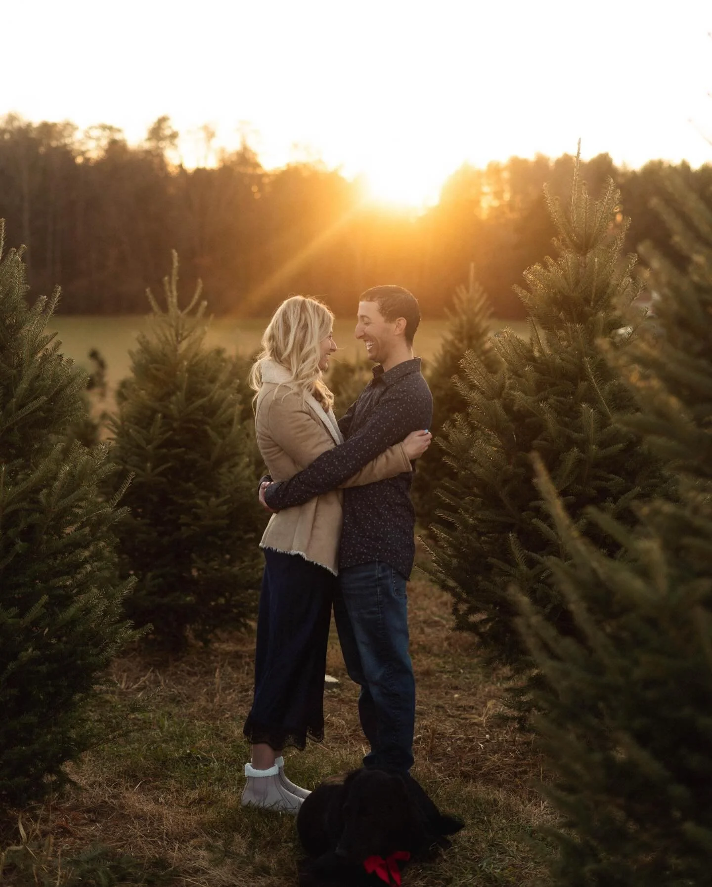 The most beautiful engagement session featuring the best behaved boy. 🐾💍🌲