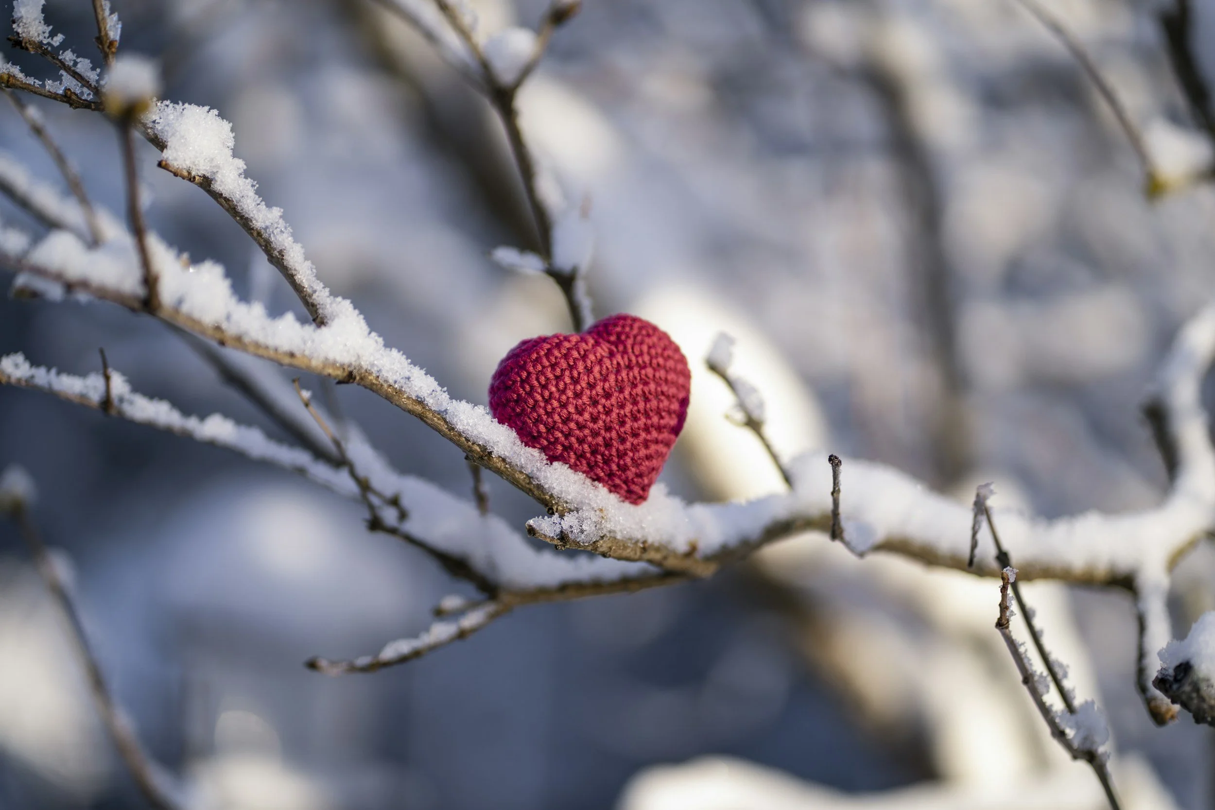 Winterize Your Heart for the Holidays