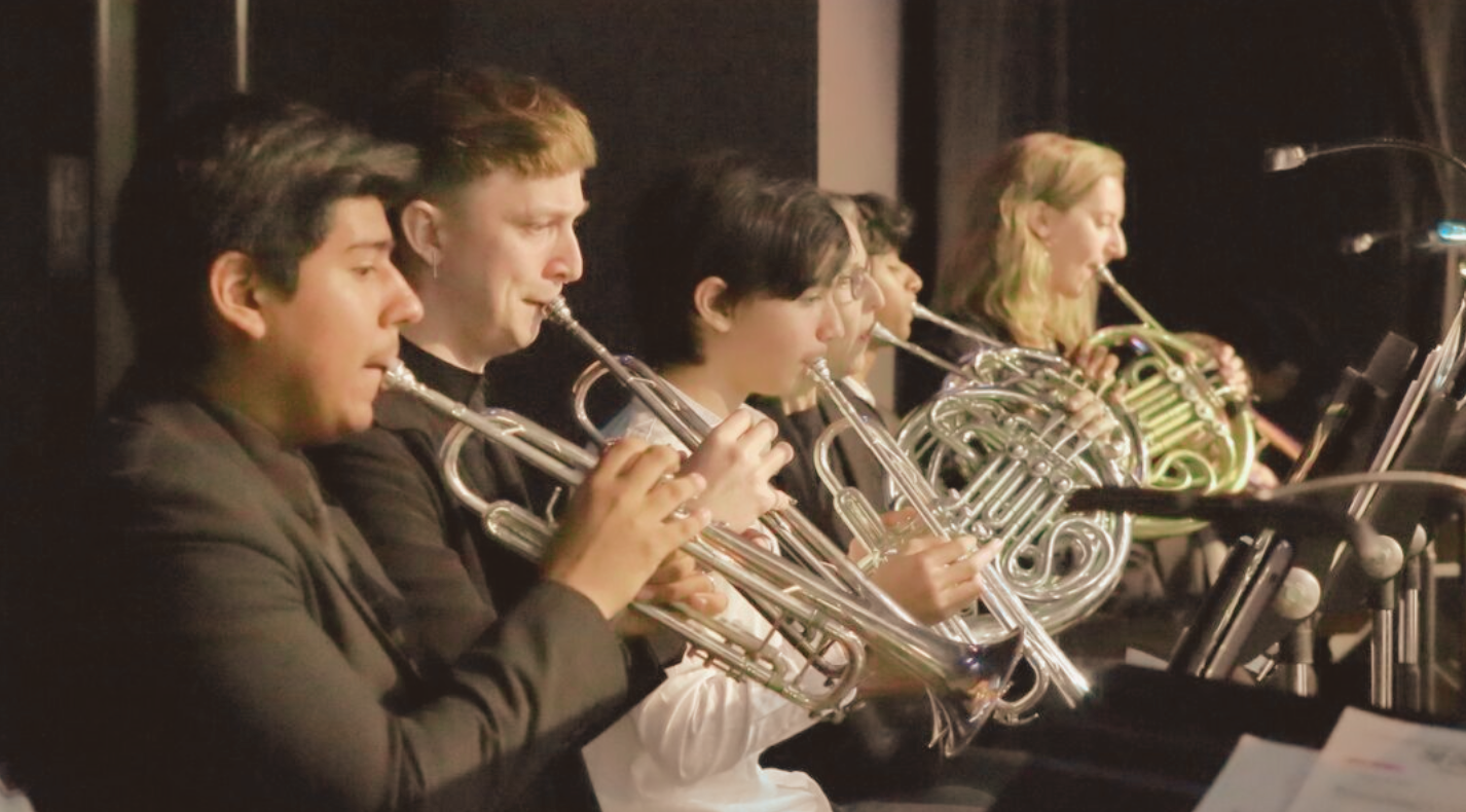 A group of musicians playing French horns, seated in a row during a performance.