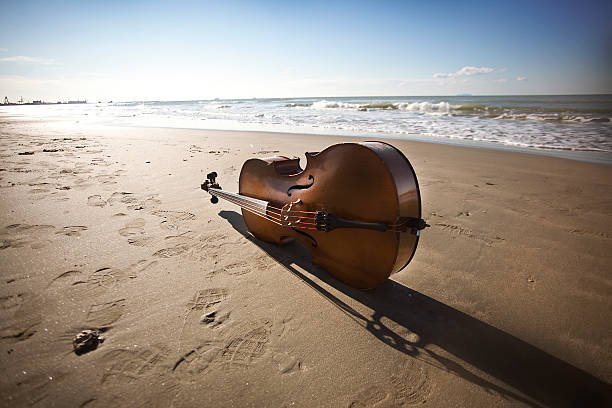 A photo of a cello lying sideways on wet sand with the ocean and a blue sky in the background