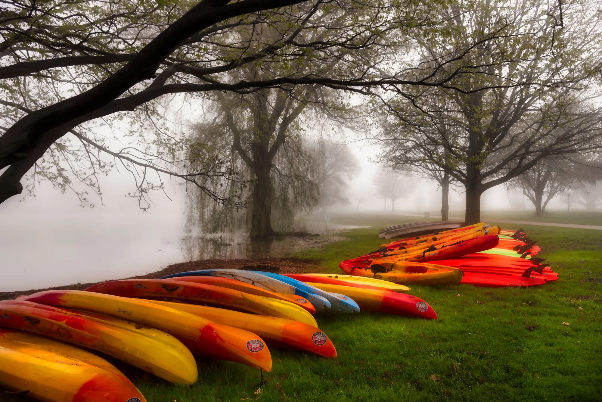 Colorful kayaks stacked near a foggy lakeside park with trees and a grassy area.