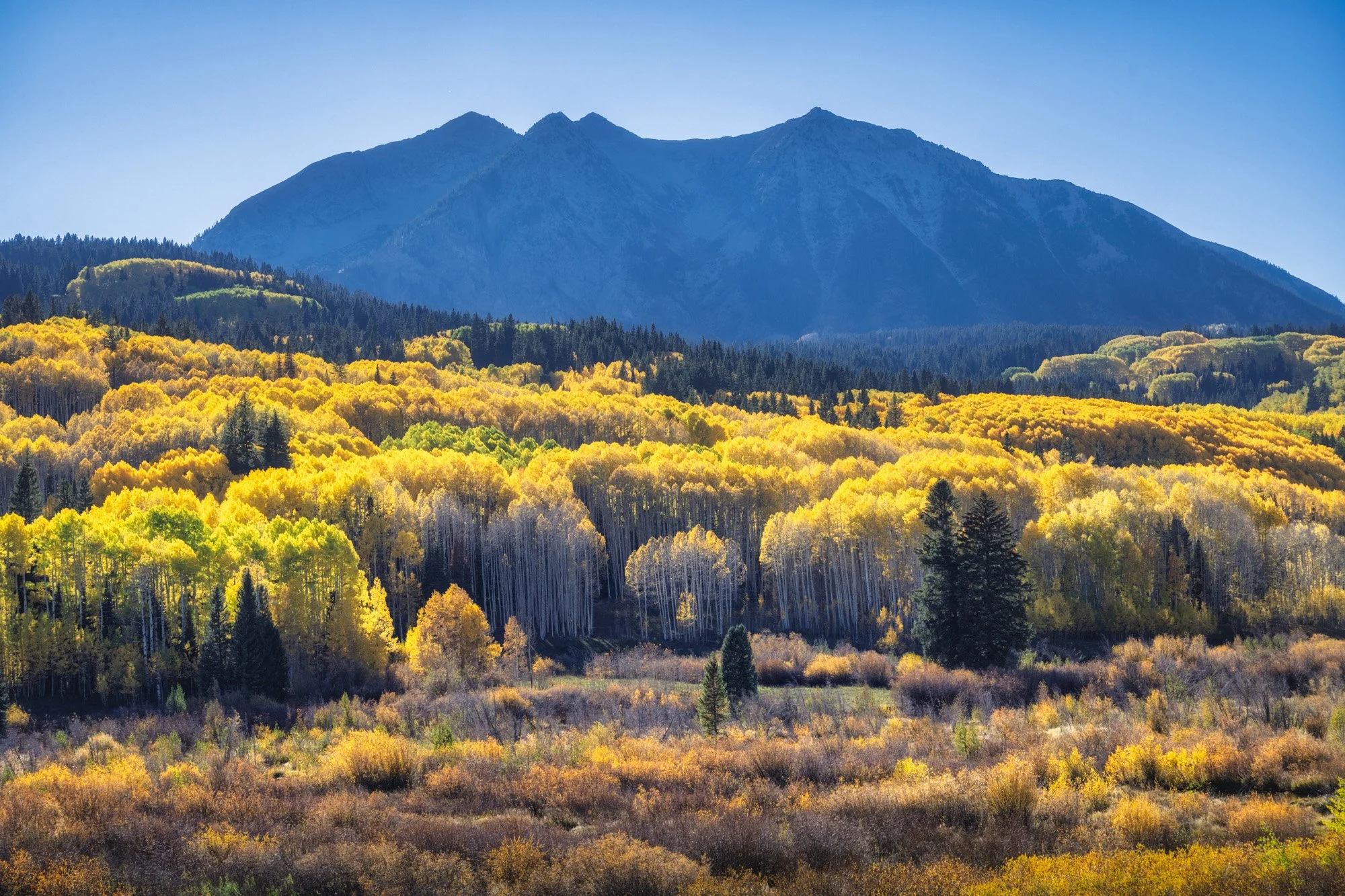 Mountain range with peaks in the background, surrounded by colorful forest in fall foliage, under a clear blue sky.