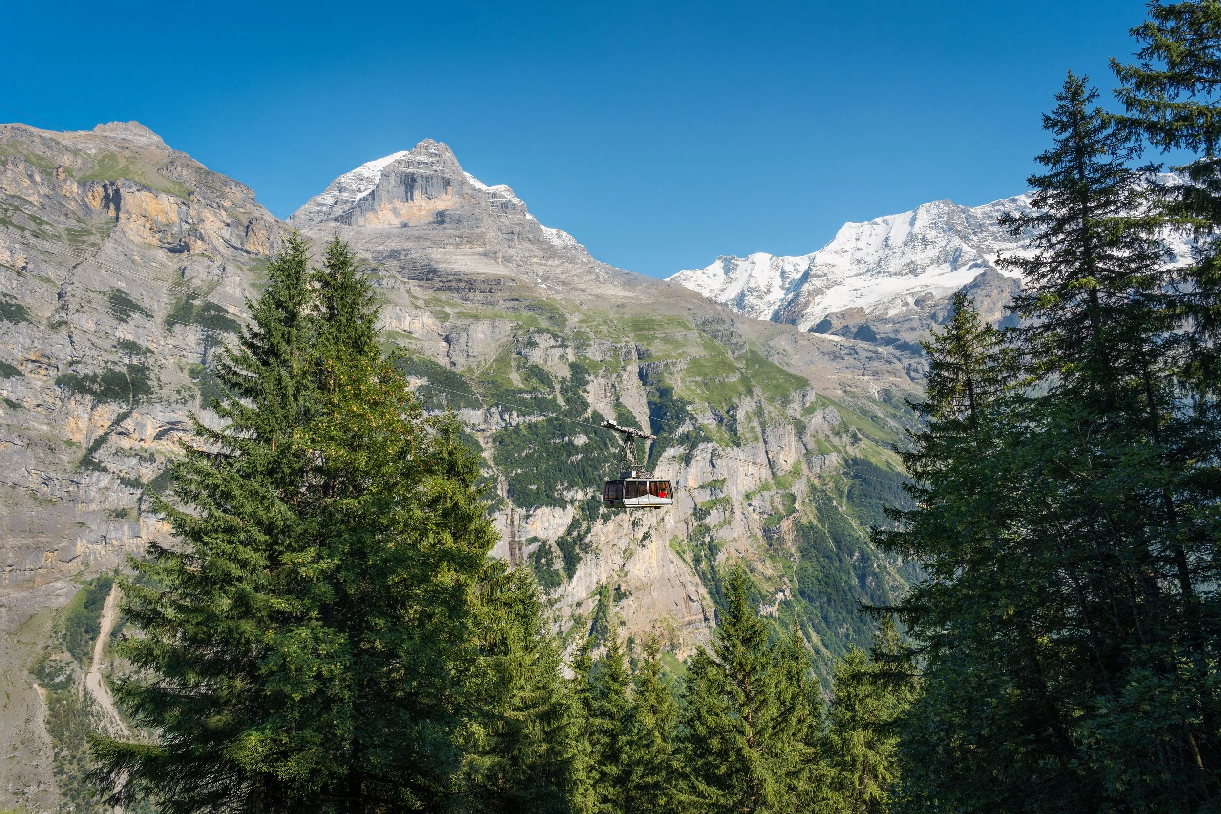 A mountain landscape with snow-capped peaks, green forested slopes, and a cable car floating among tall pine trees.