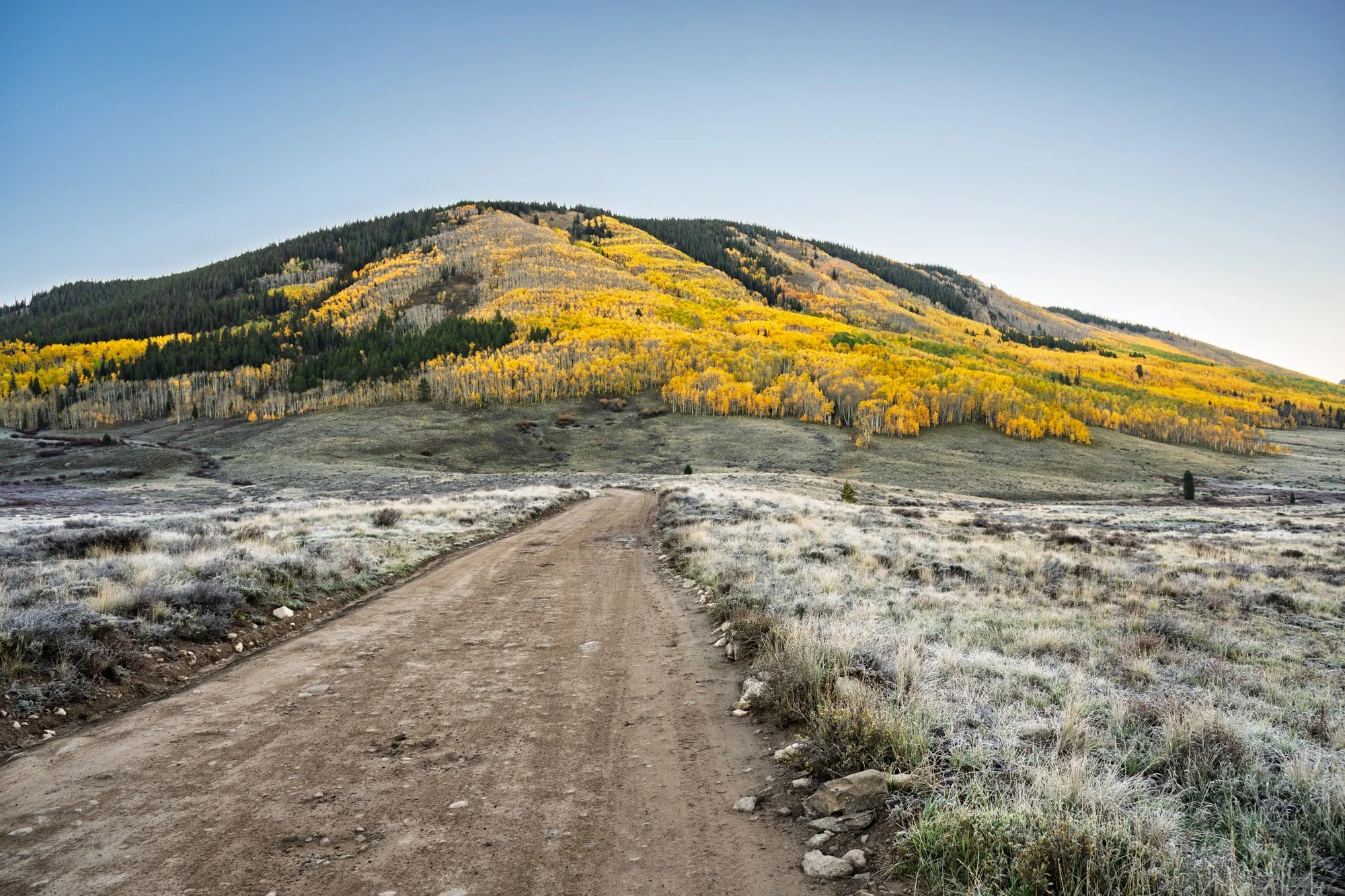 Dirt road leading towards a hillside covered with yellow and green trees, with a clear blue sky overhead.